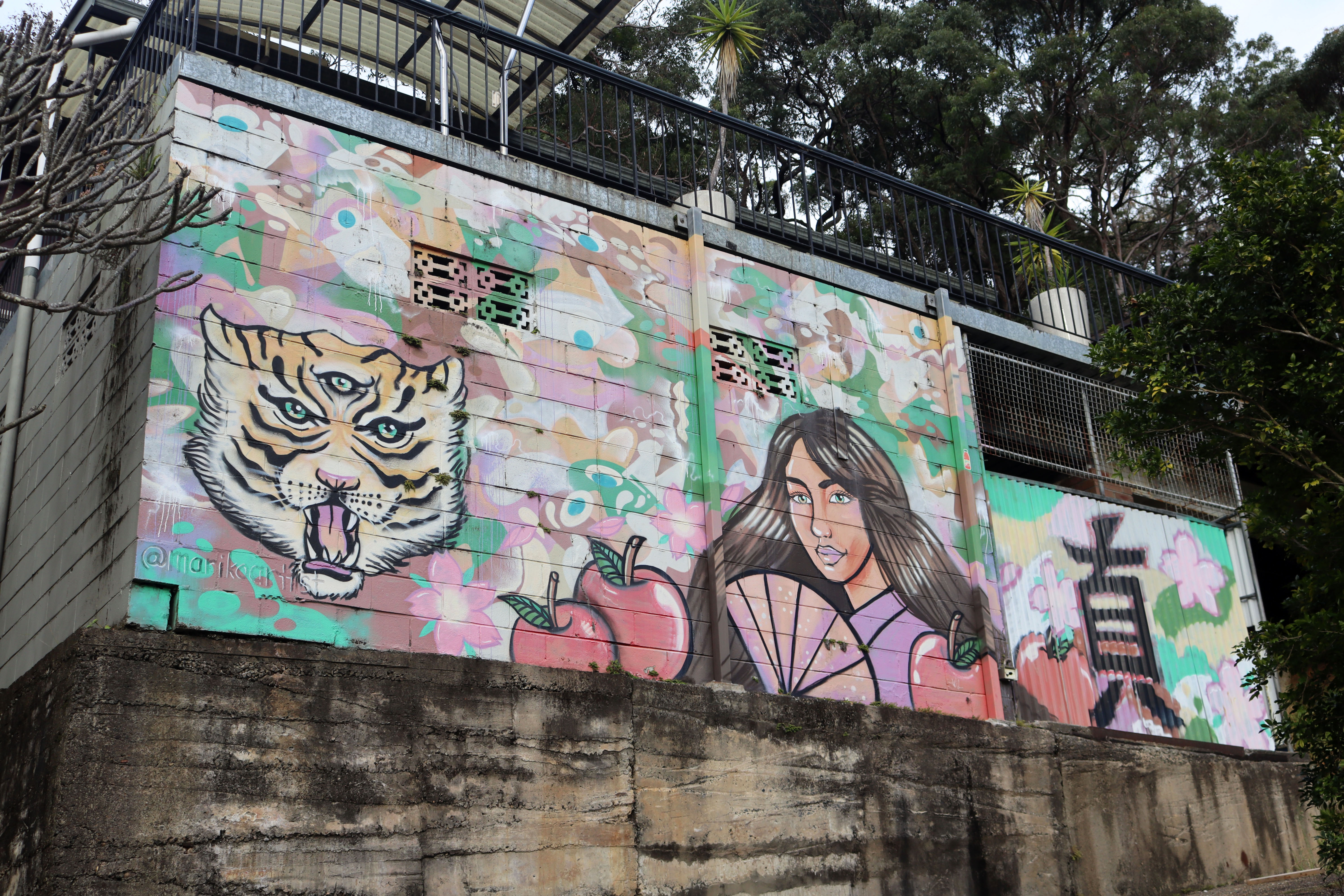 Untitled by Saxon Duke | Street Art NSW