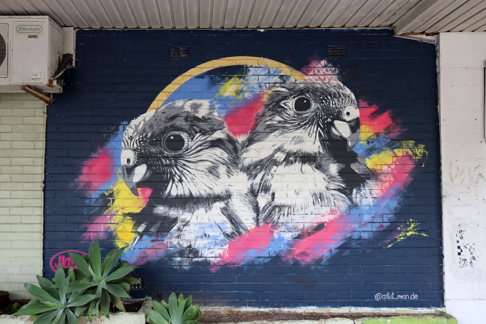 Swift Parrots by MAN.De | Street Art NSW