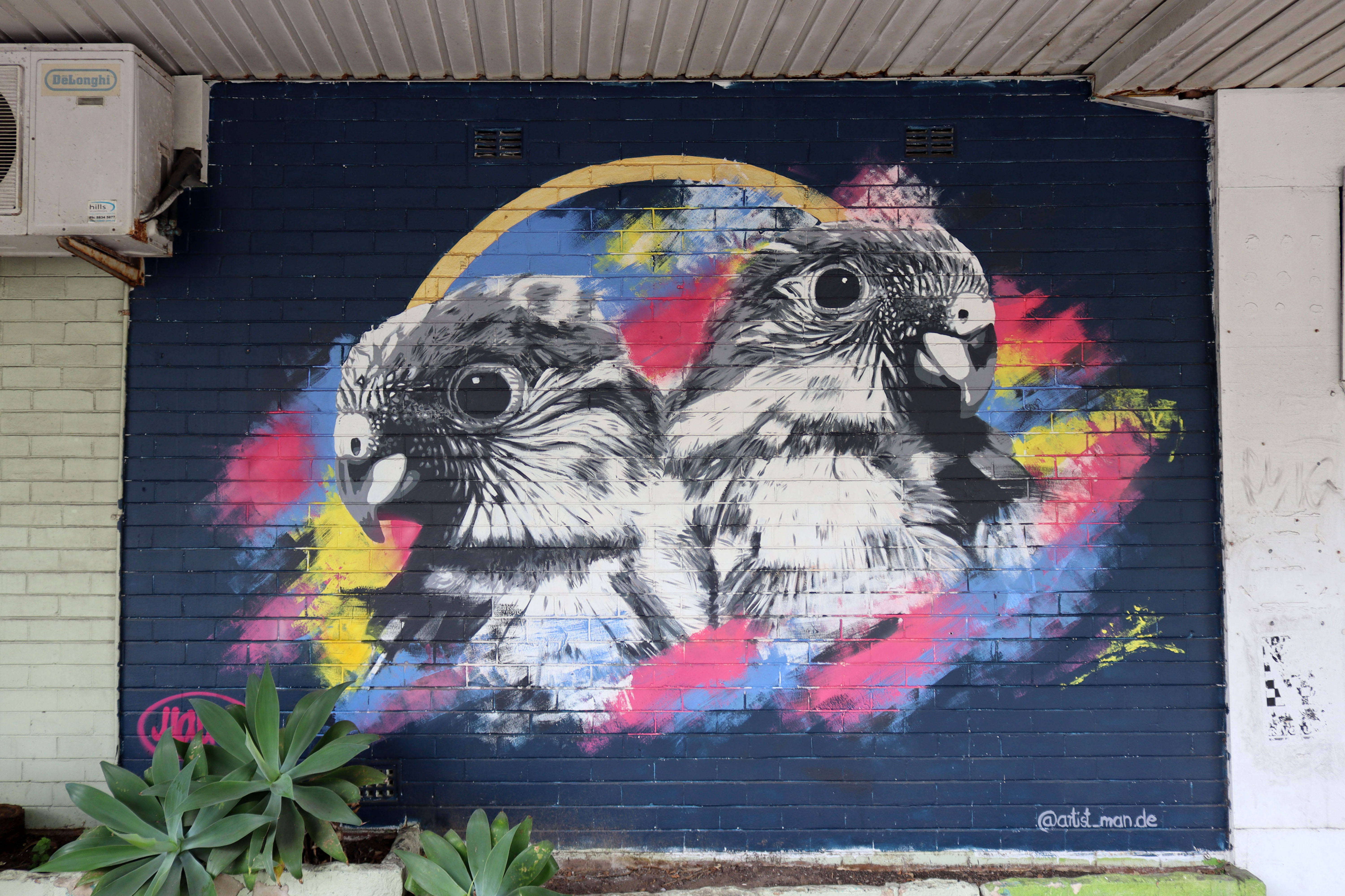 Swift Parrots