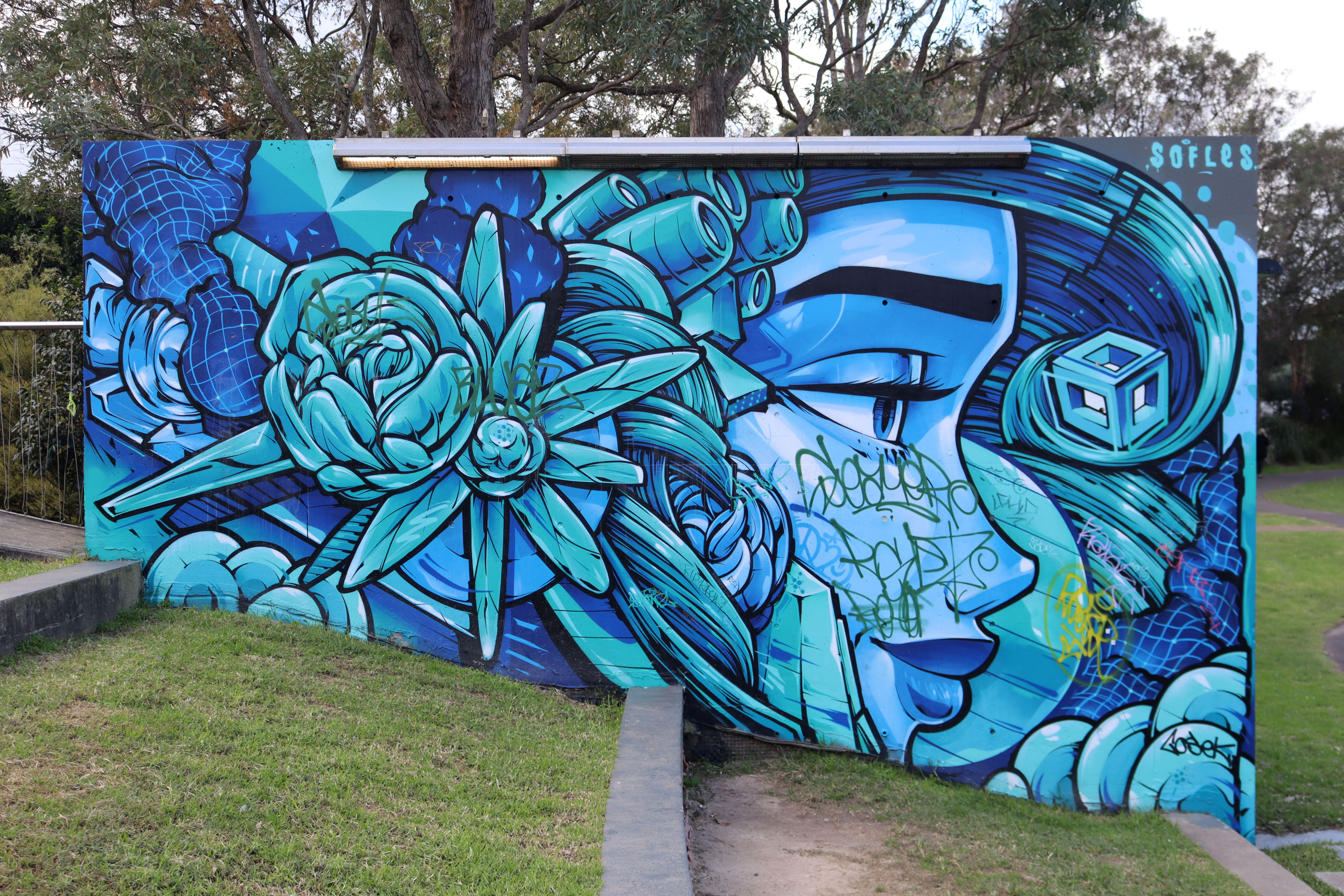 Coastal Mona by Sofles | Street Art NSW