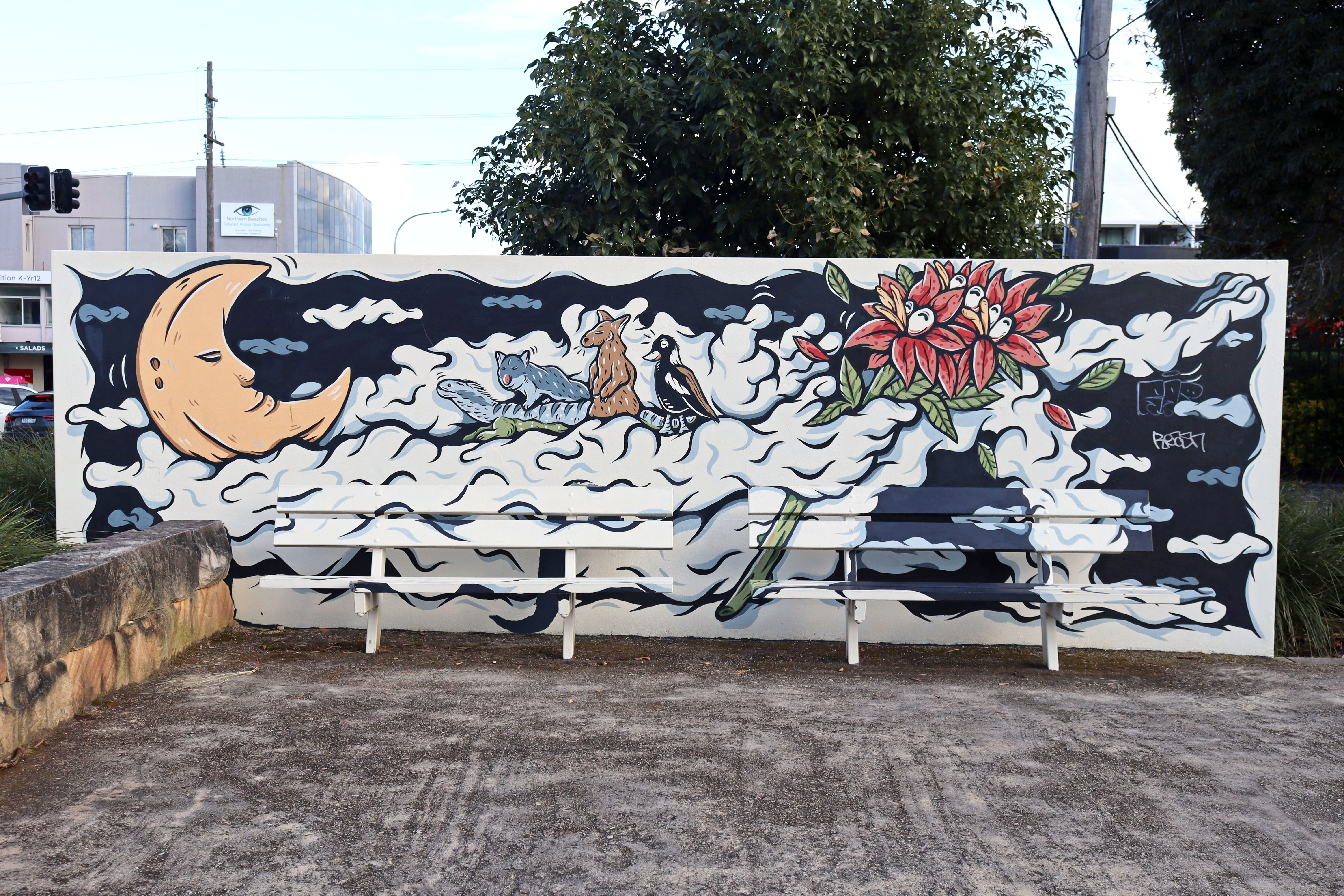 Waratah & Rhododendron by Kentaro Yoshida | Street Art NSW