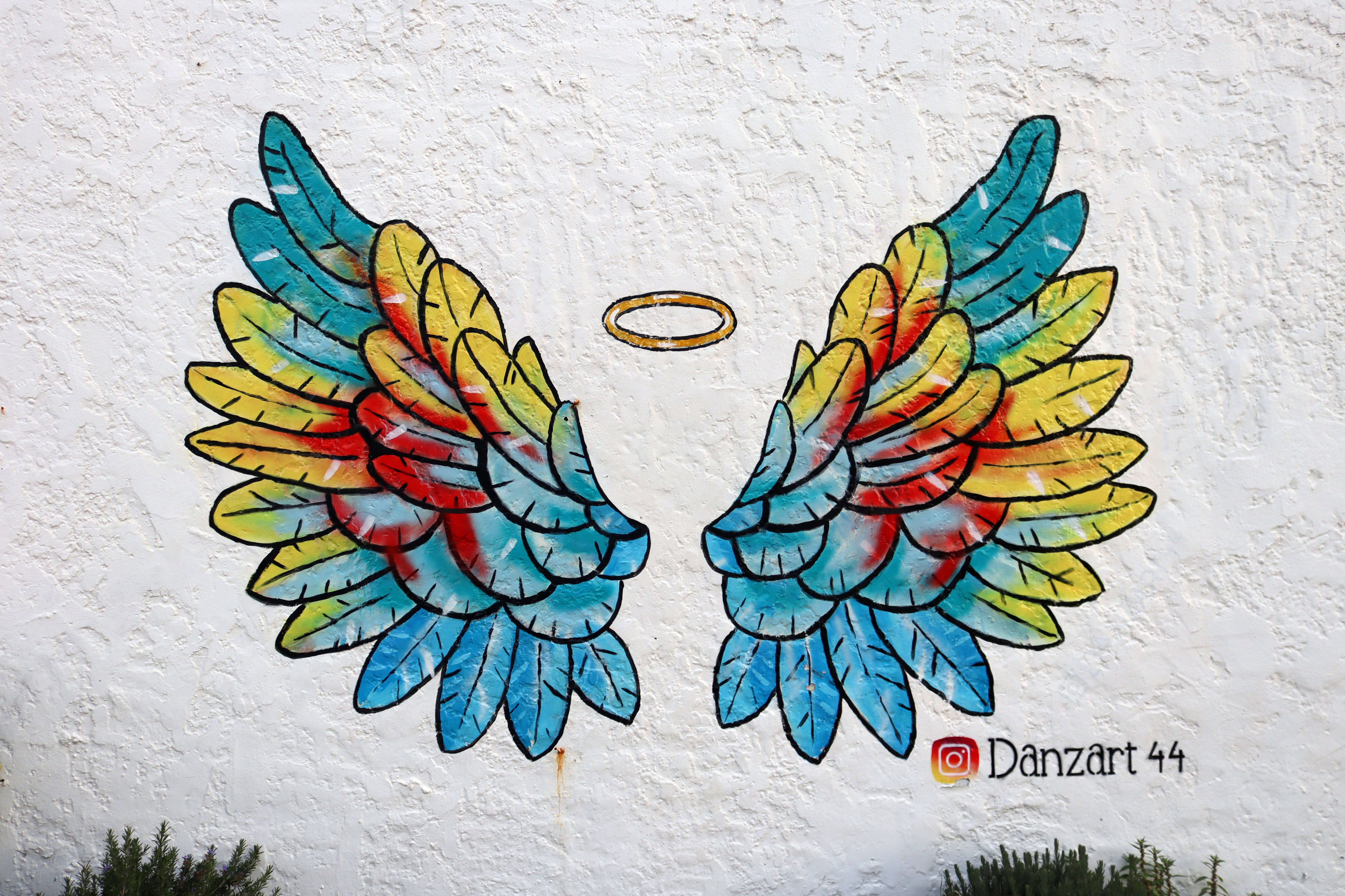 Untitled by Danzart44 | Street Art NSW