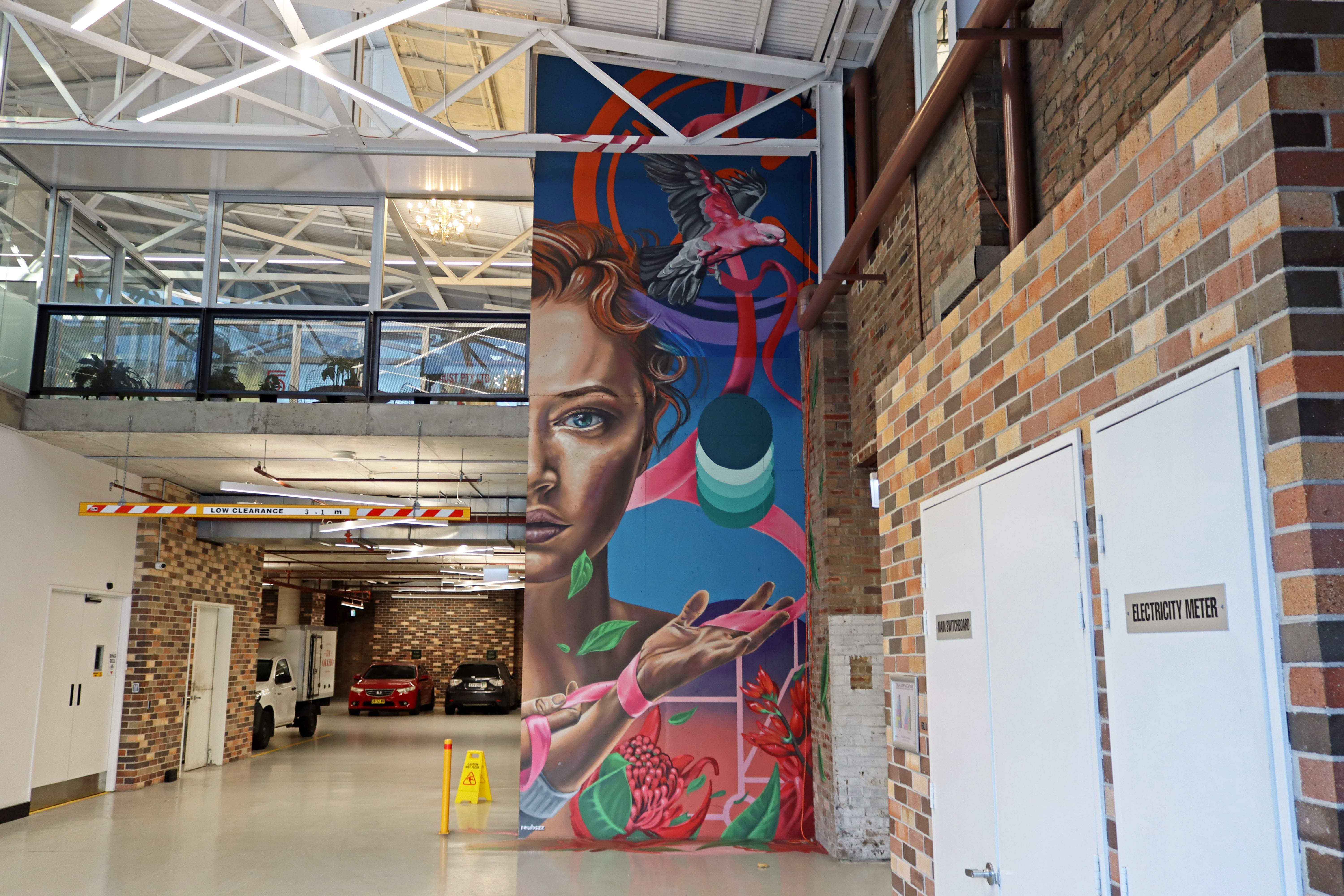 Untitled by Reubszz | Street Art NSW