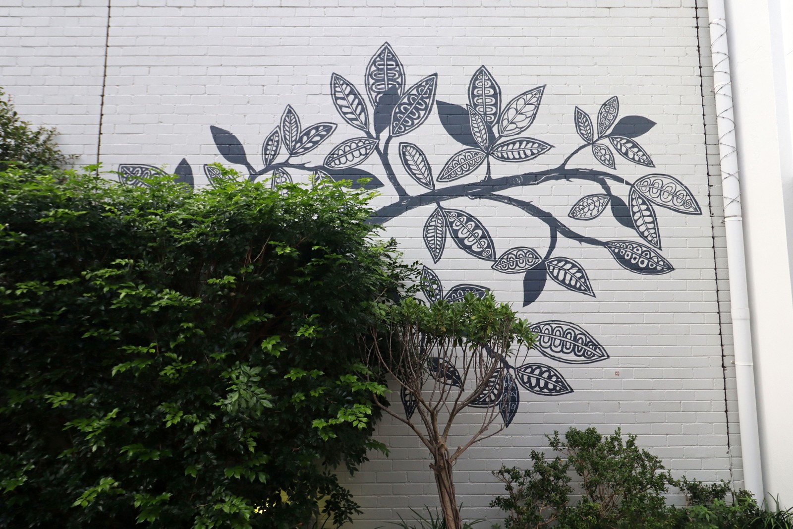 Tree I Home by Julie Hickson | Street Art NSW