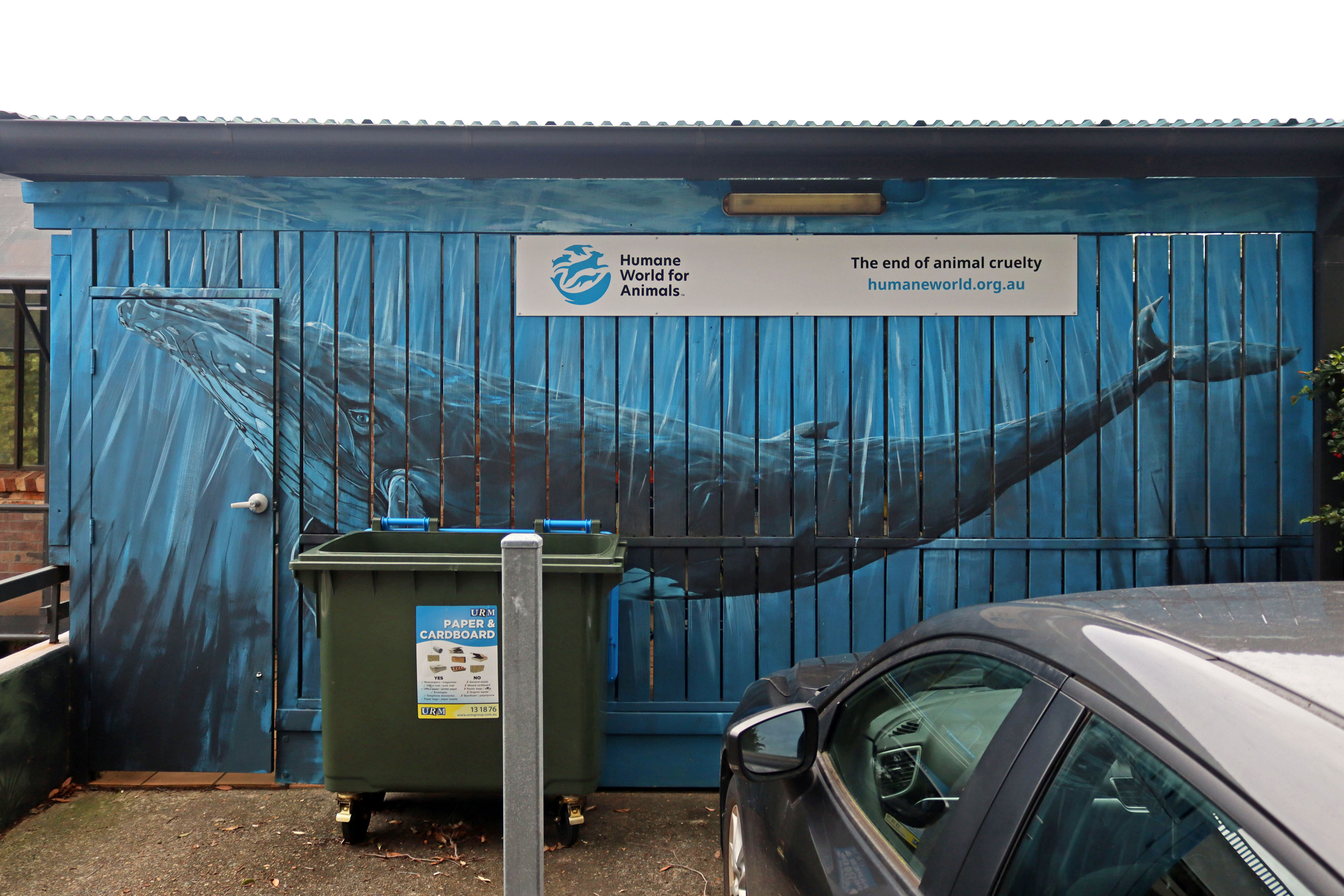 Humpback Whale by Daniel Hend | Street Art NSW
