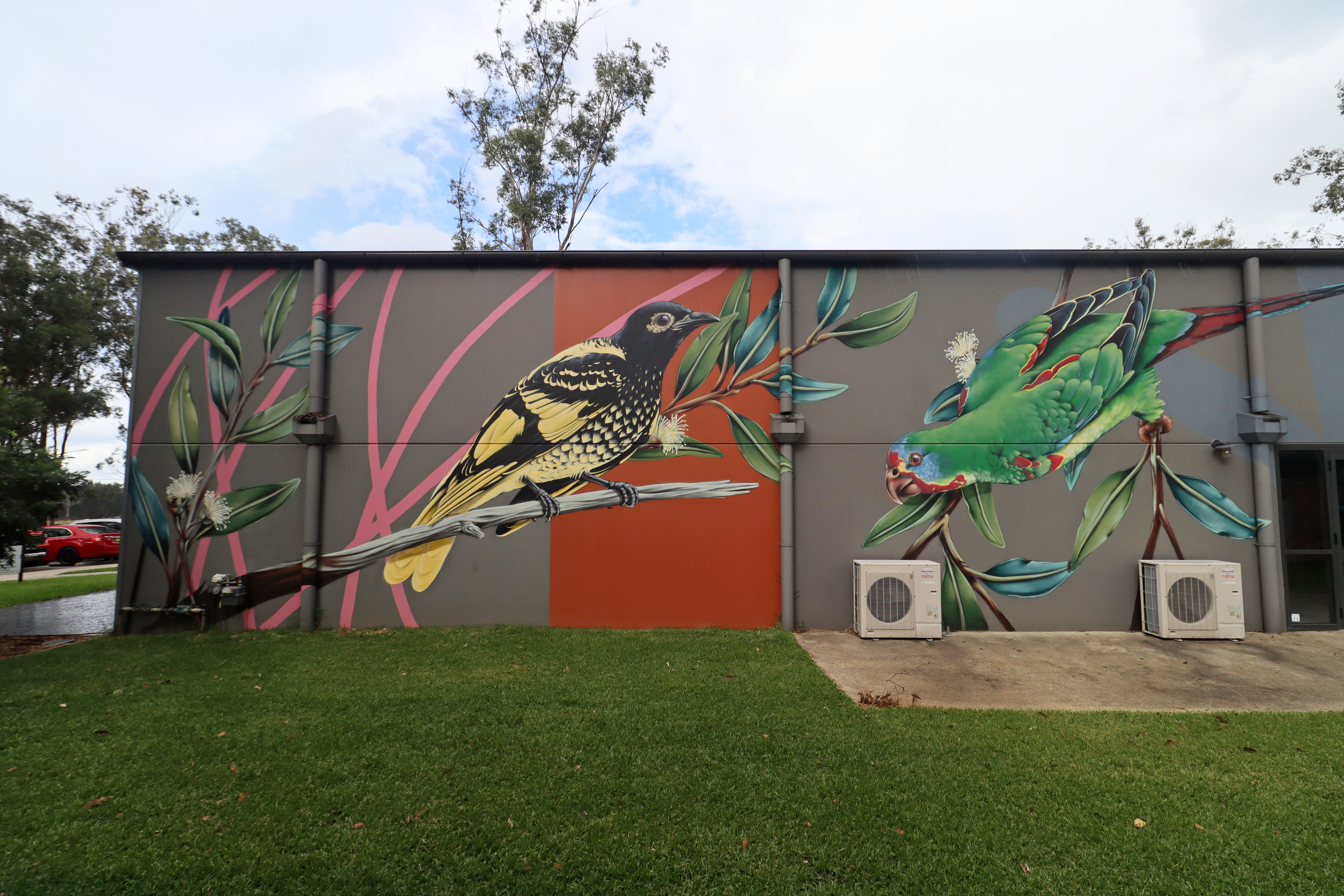 Woodland Birds by Thomas Jackson | Street Art NSW