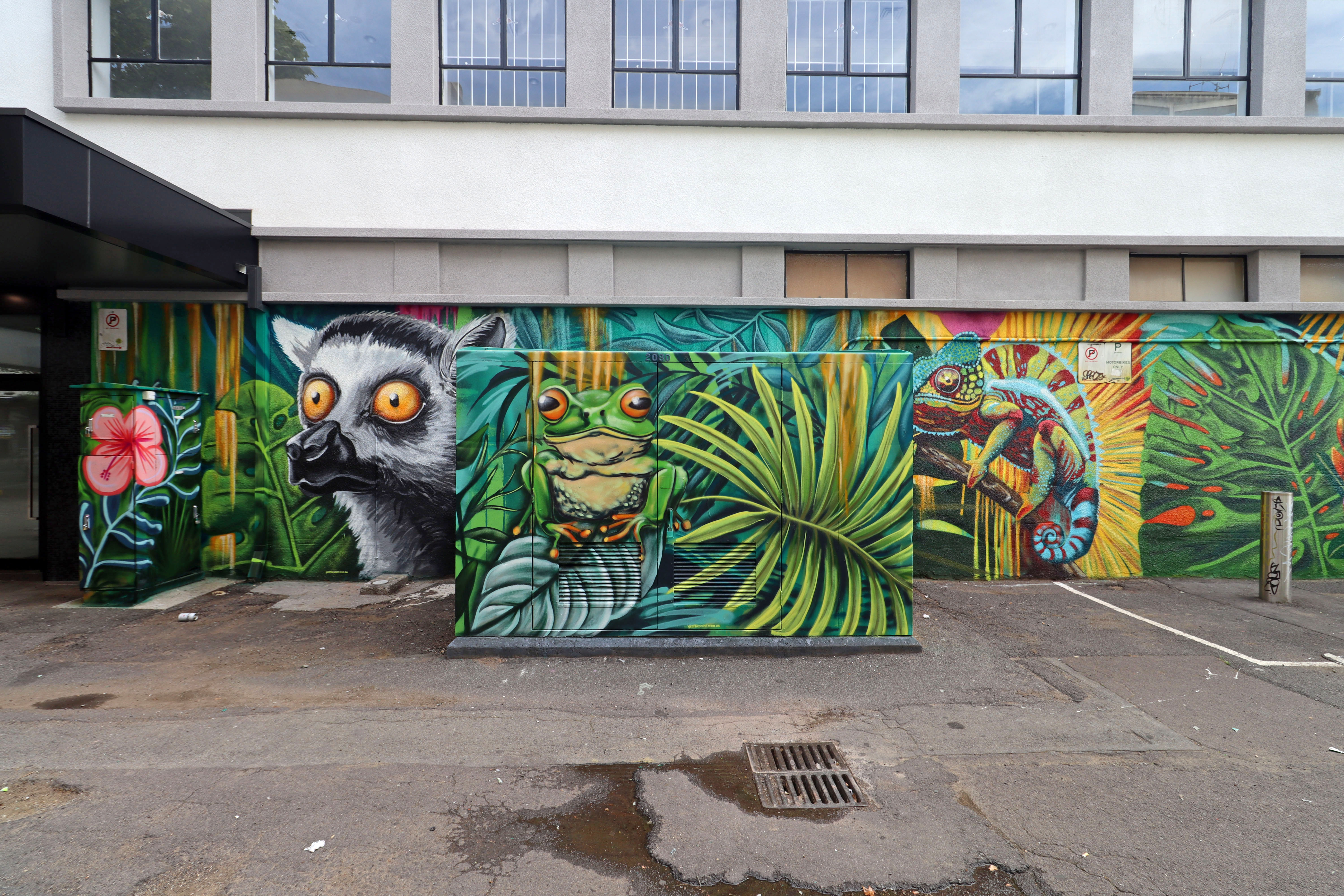 Untitled by GraffikPaint | Street Art NSW