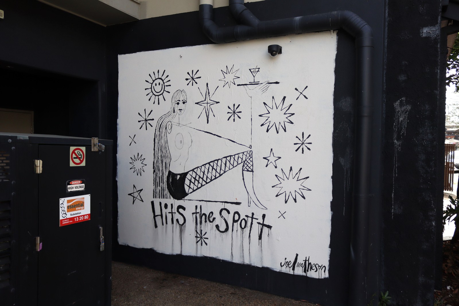 Hits the Spott by Joel Matheson | Street Art NSW