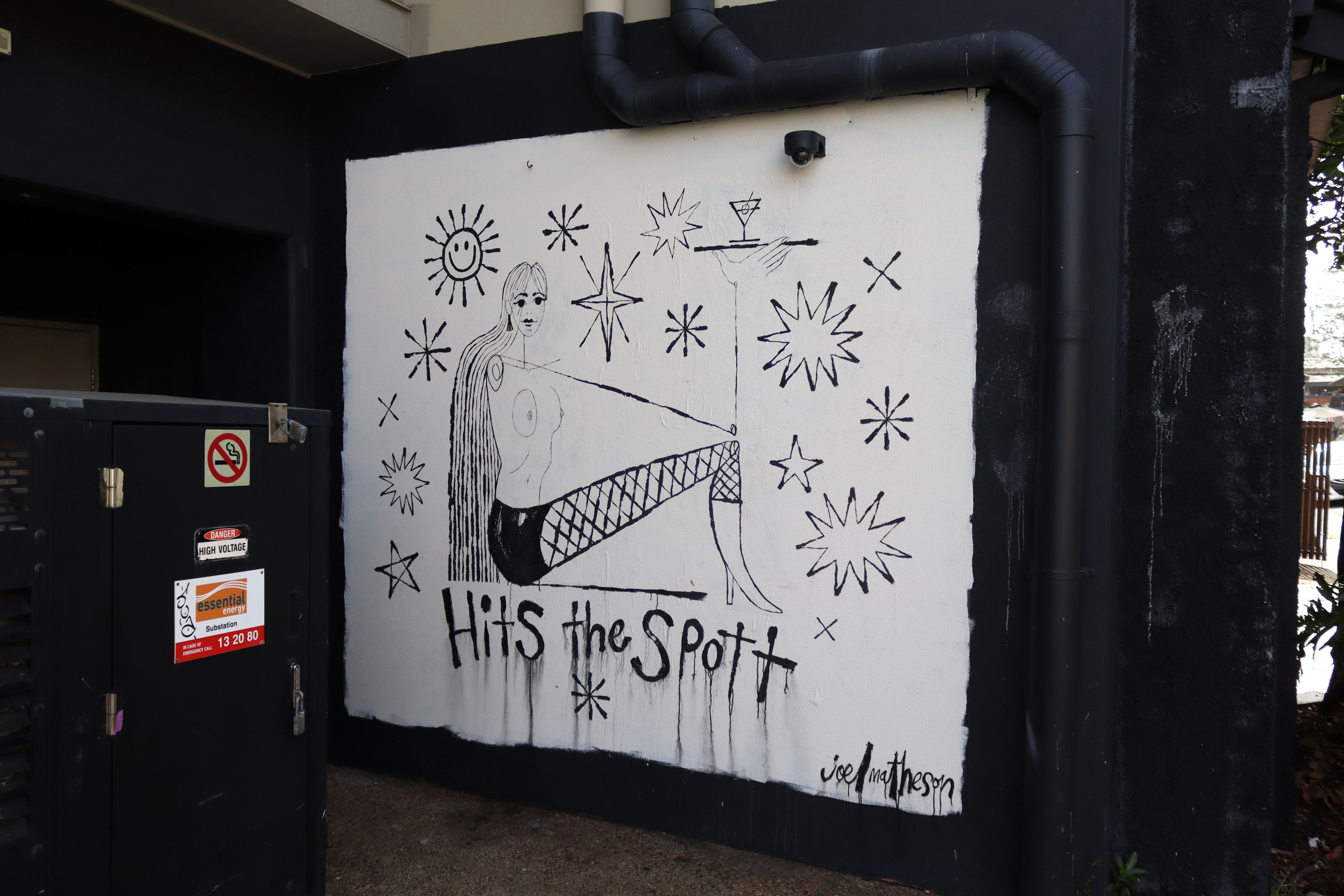 Hits the Spott by Joel Matheson | Street Art NSW