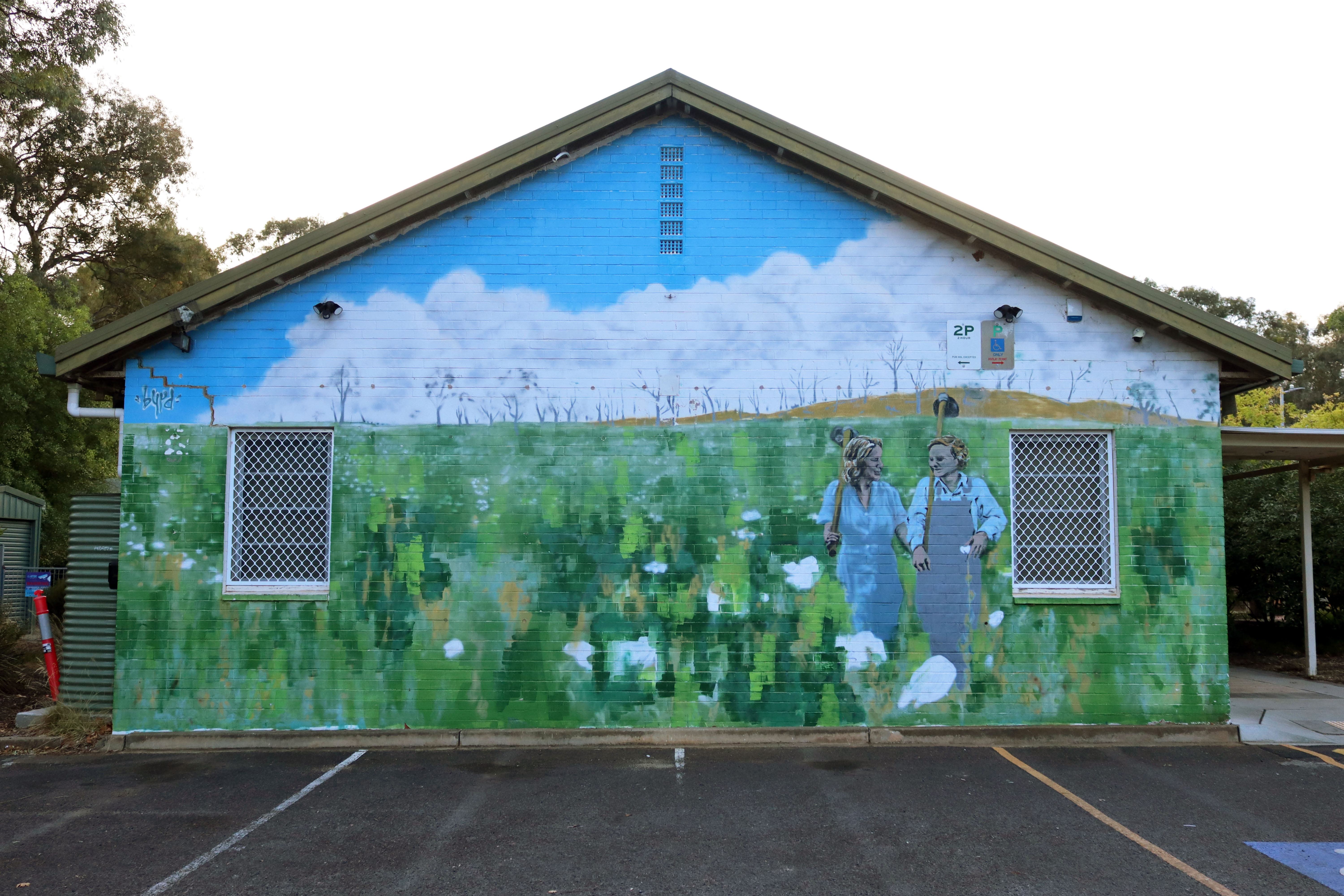 Untitled by Byrd | Street Art NSW