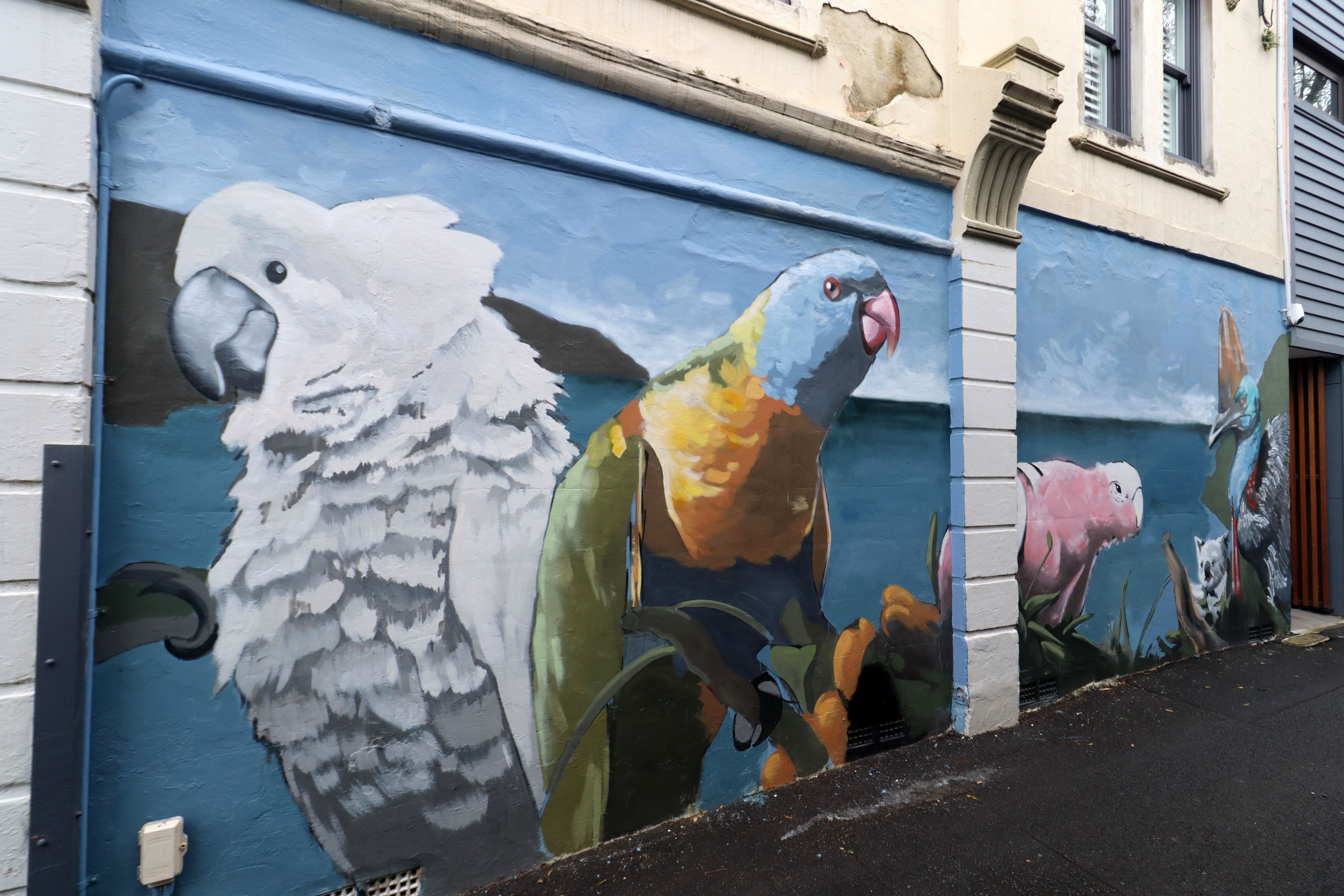 Native Birds