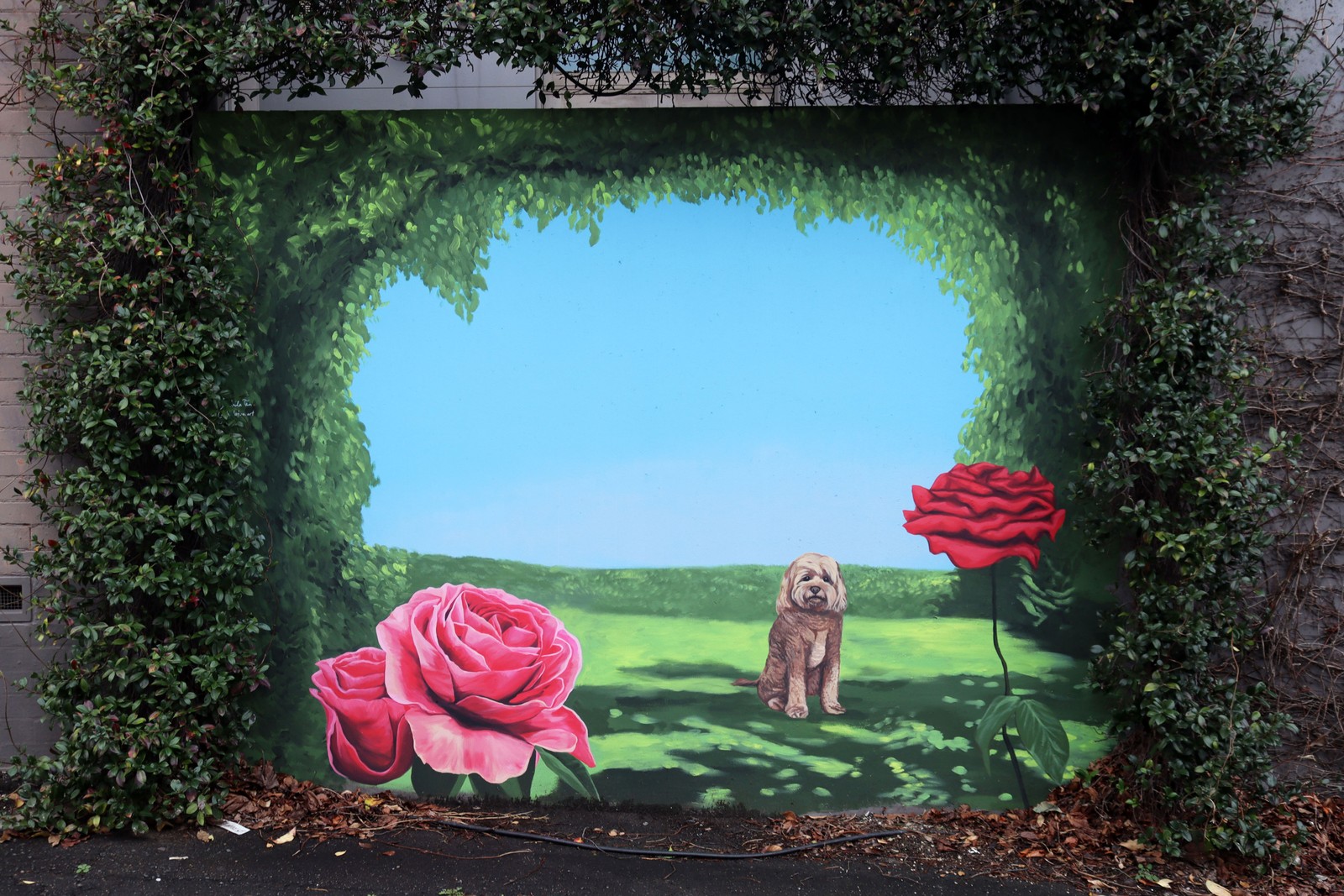 Apollo's Secret Garden by Sheila Tan | Street Art NSW