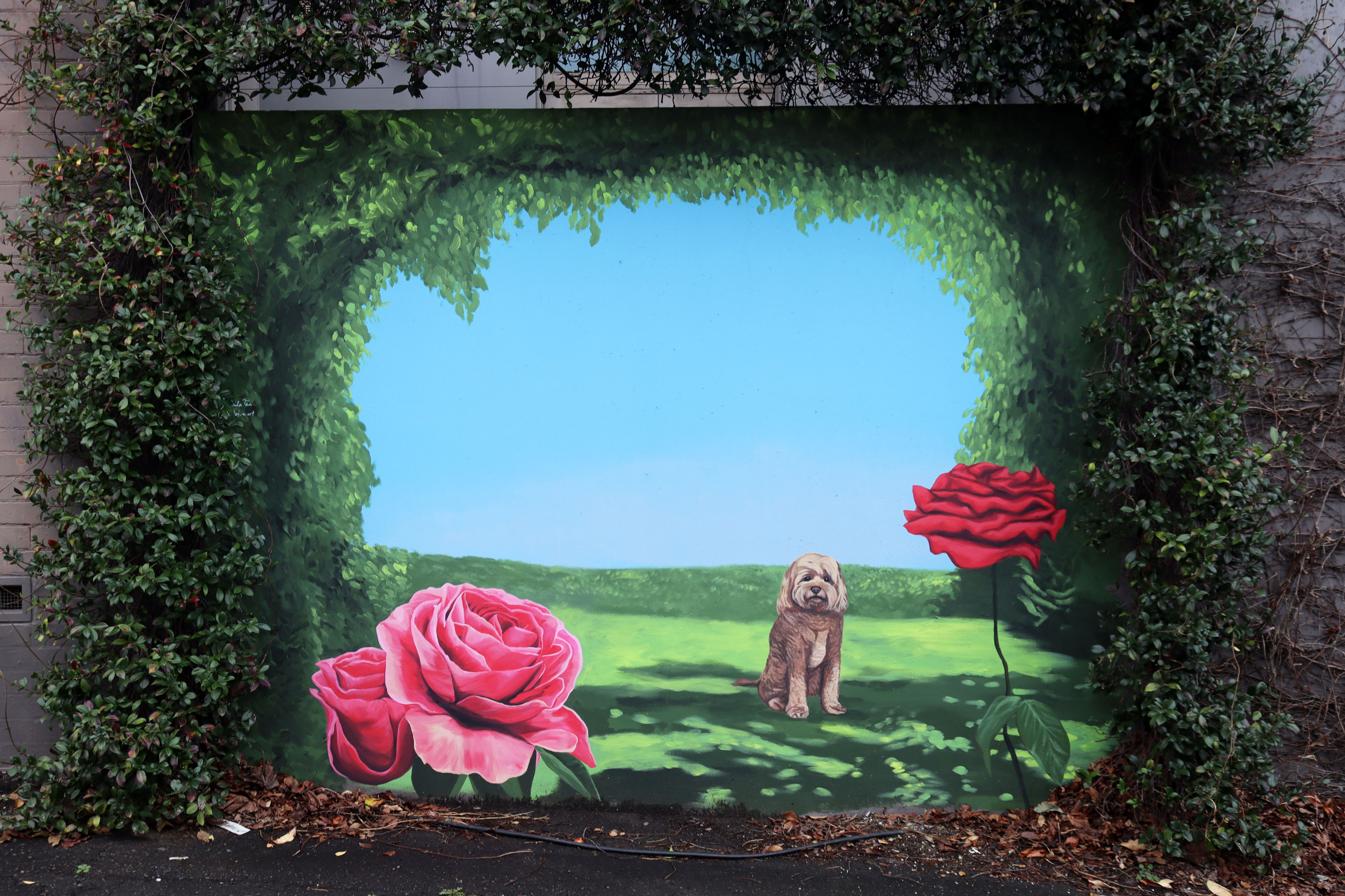Apollo's Secret Garden by Sheila Tan | Street Art NSW