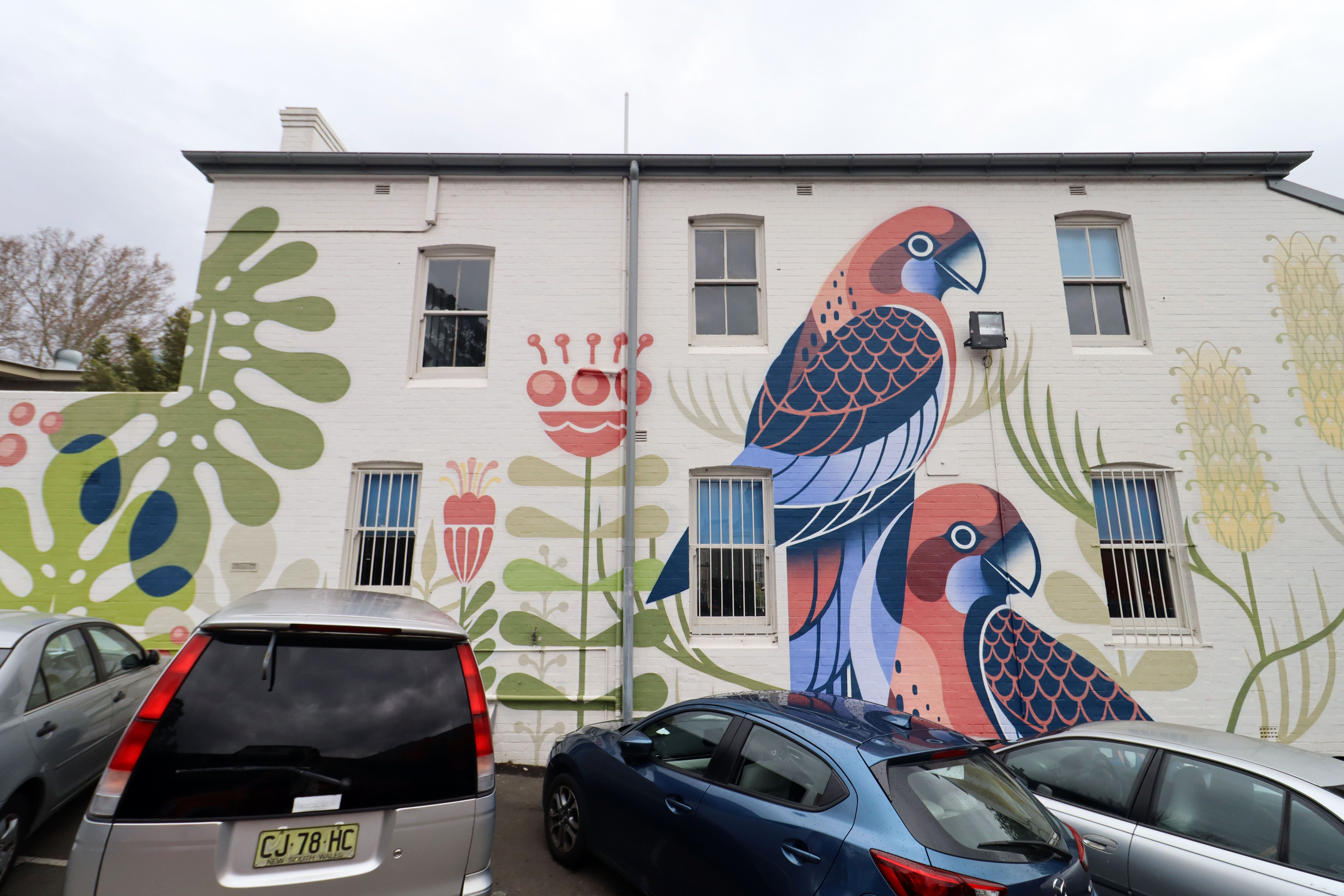 Rozelle Public School Mural by Geebs | Street Art NSW