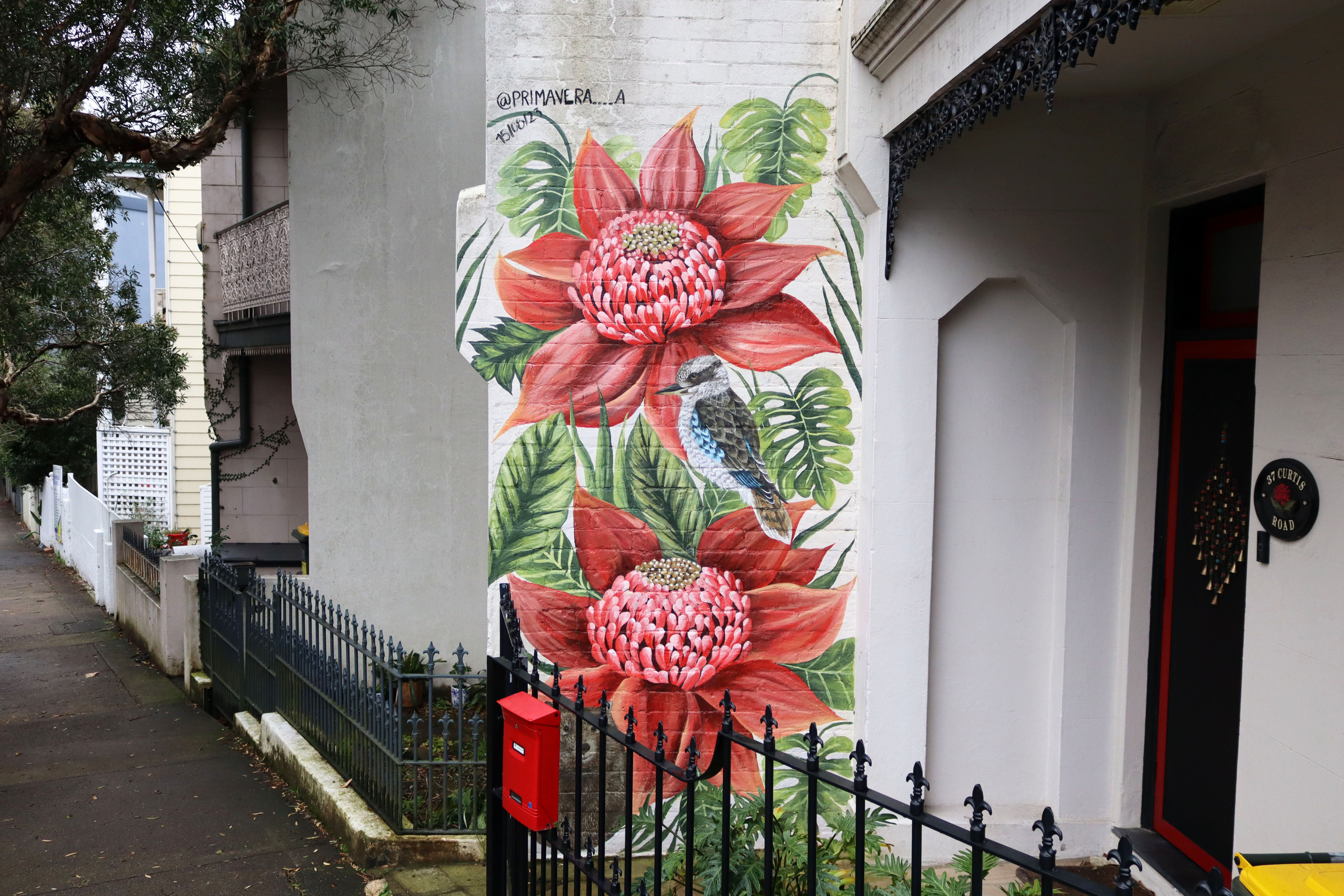 Waratahs