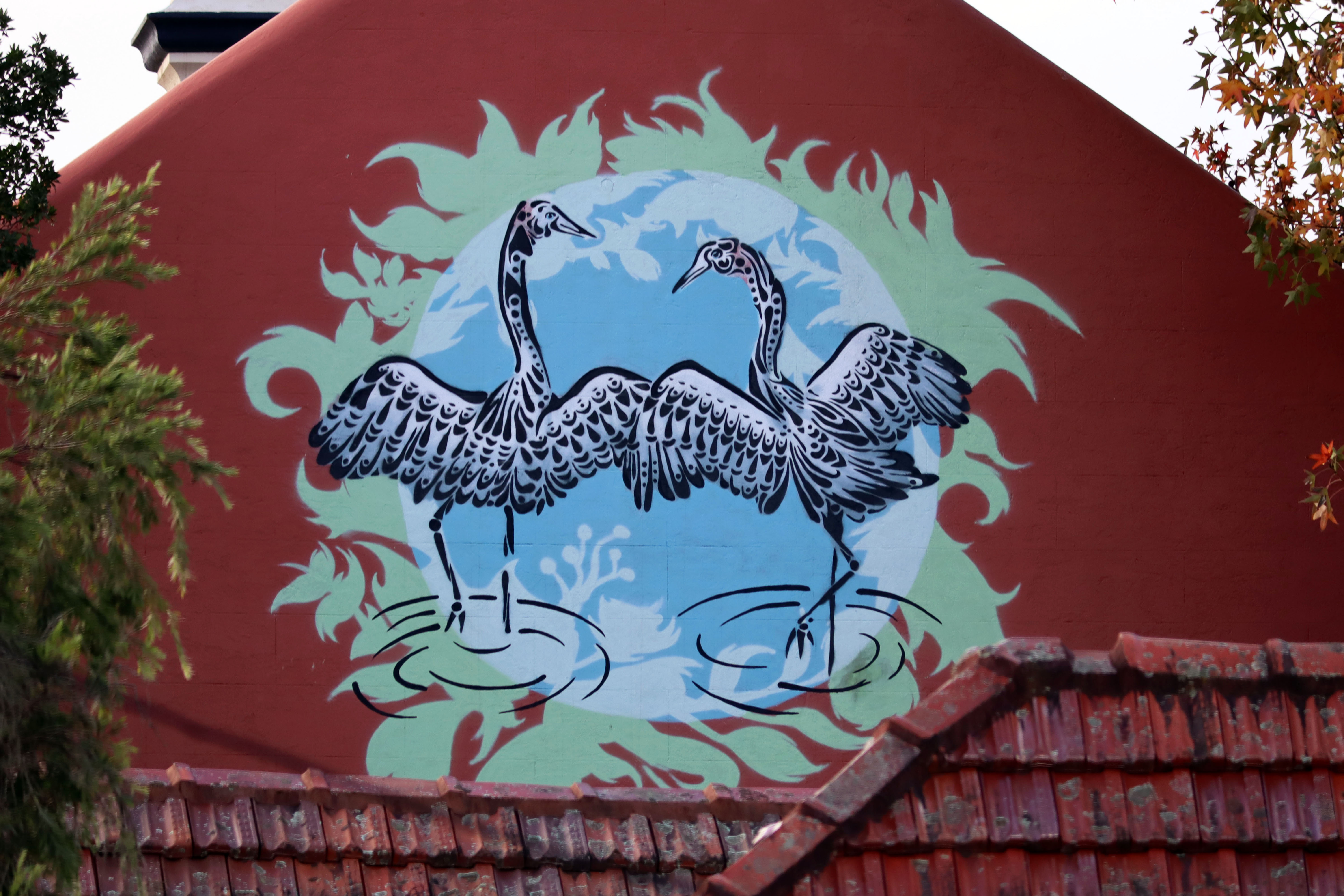 Brolga