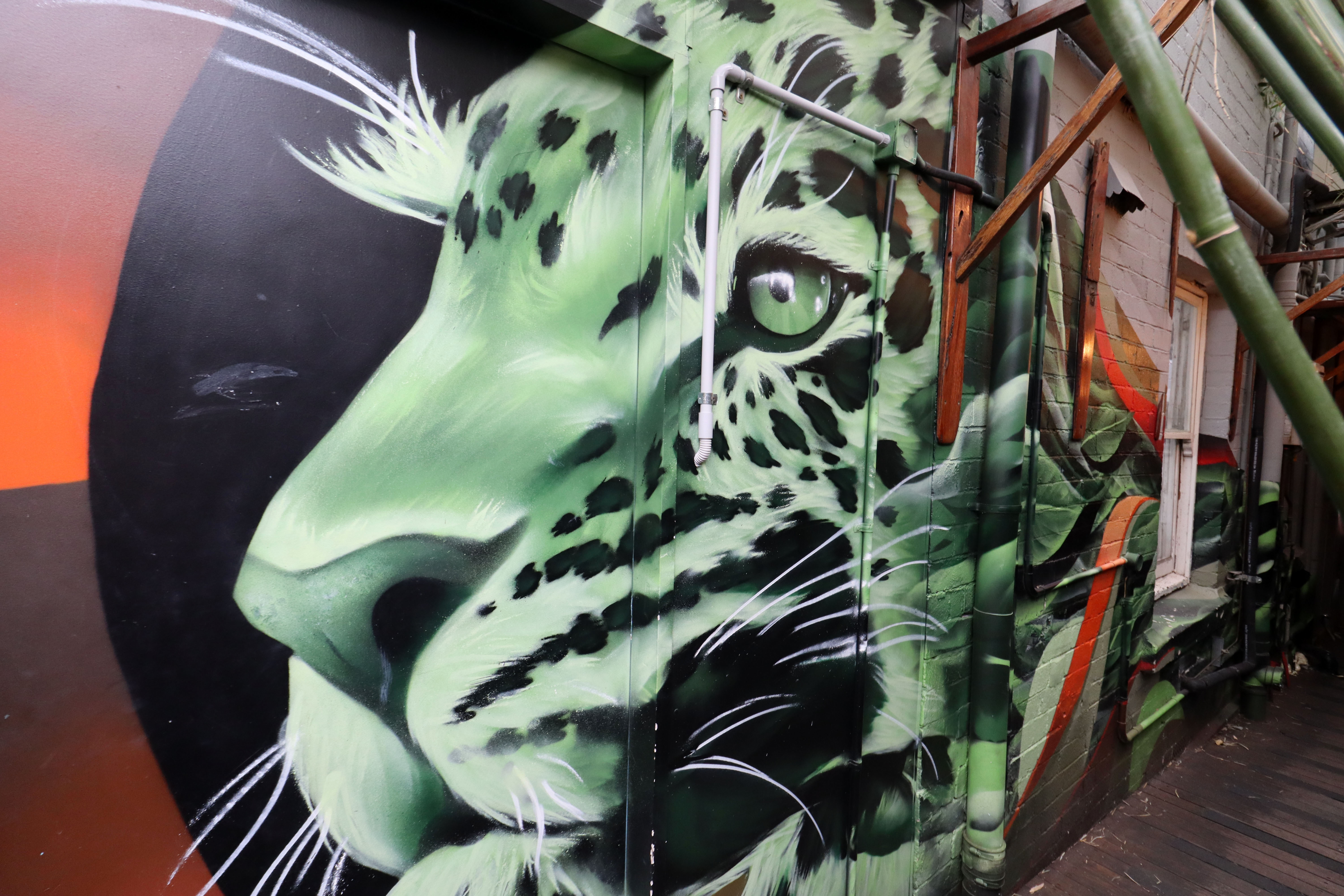 The Rio Bar Mural