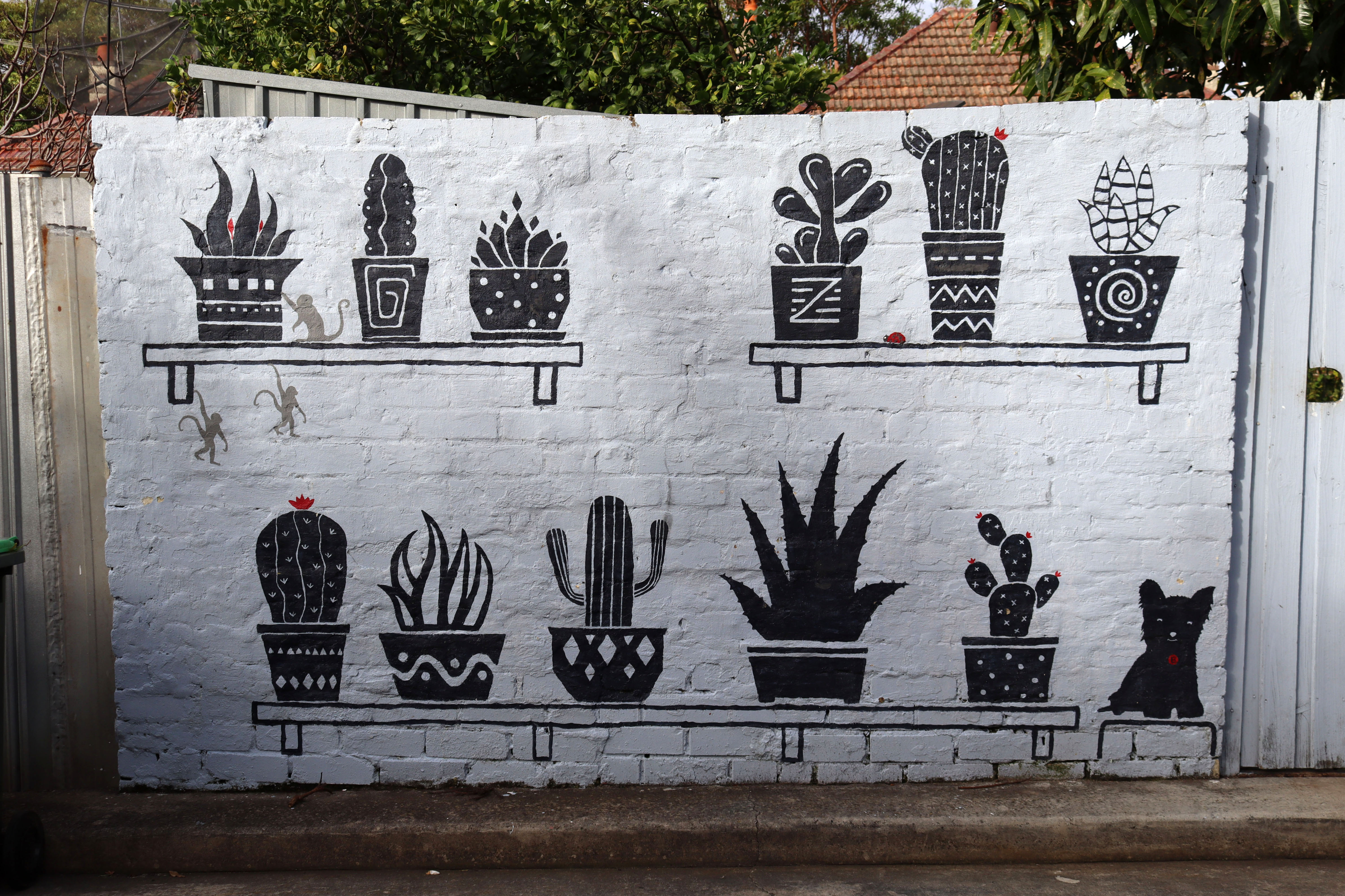 Untitled | Street Art NSW