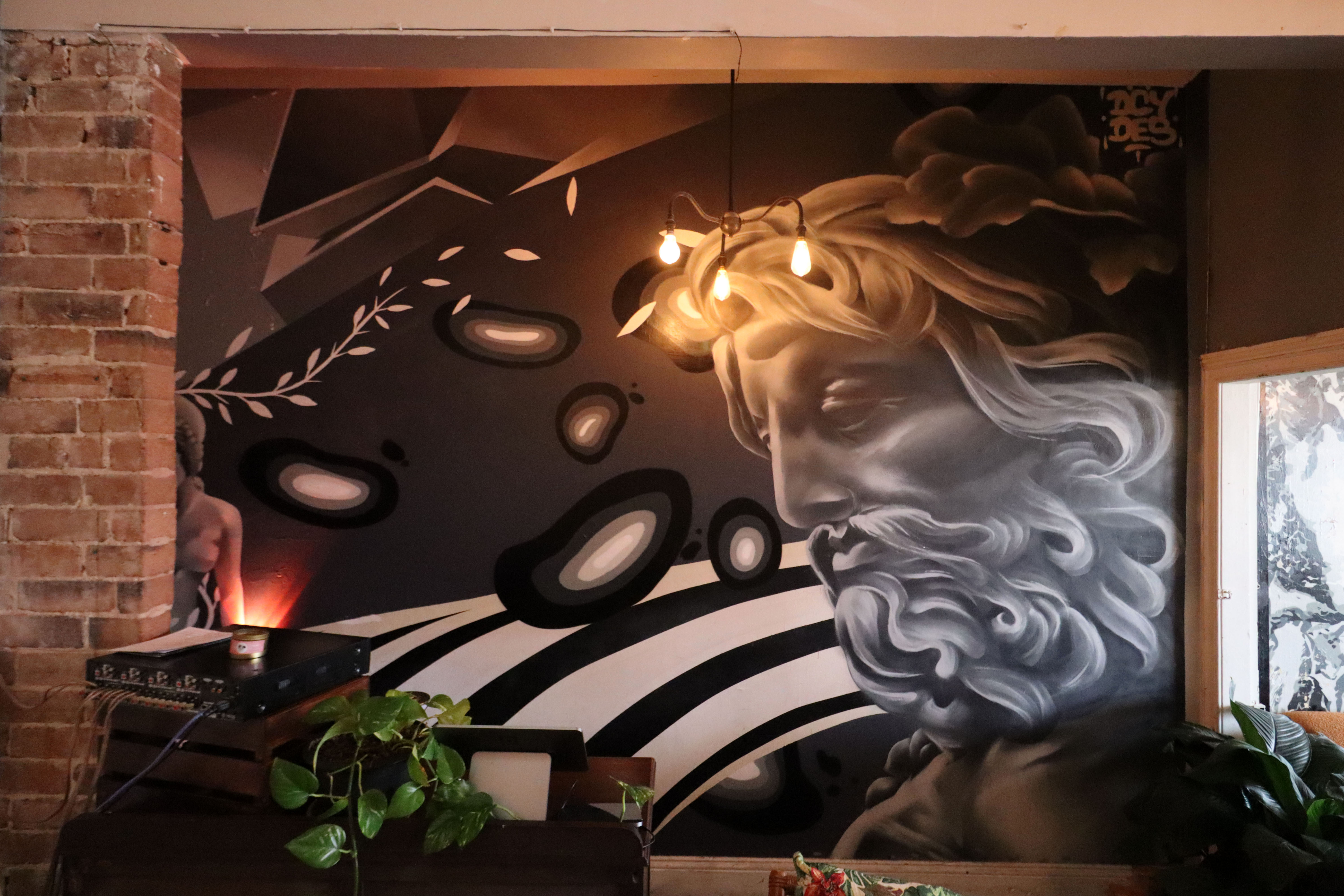 The Rio by Mountain Ash Creative | Street Art NSW