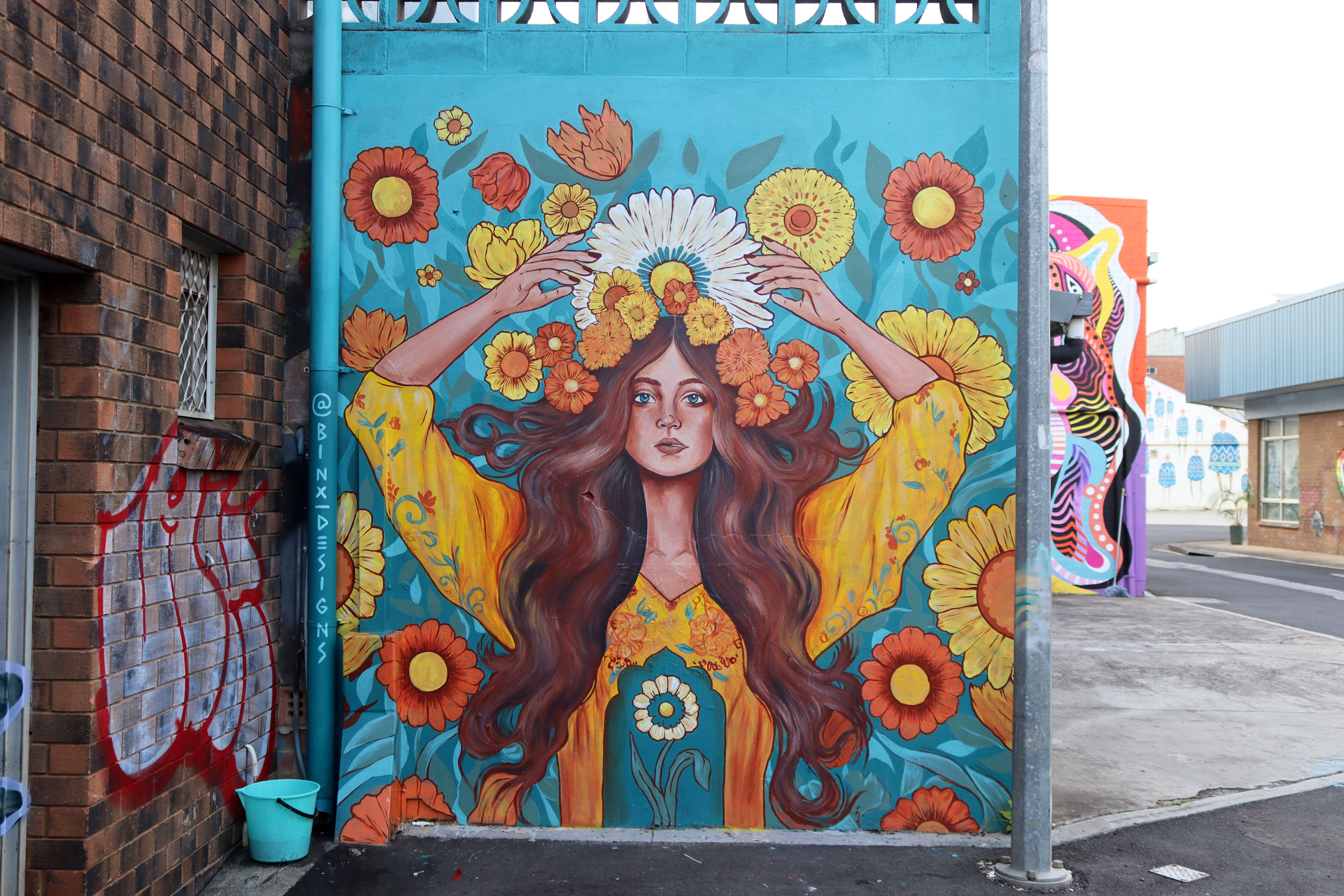Untitled by Binx Designs | Street Art NSW
