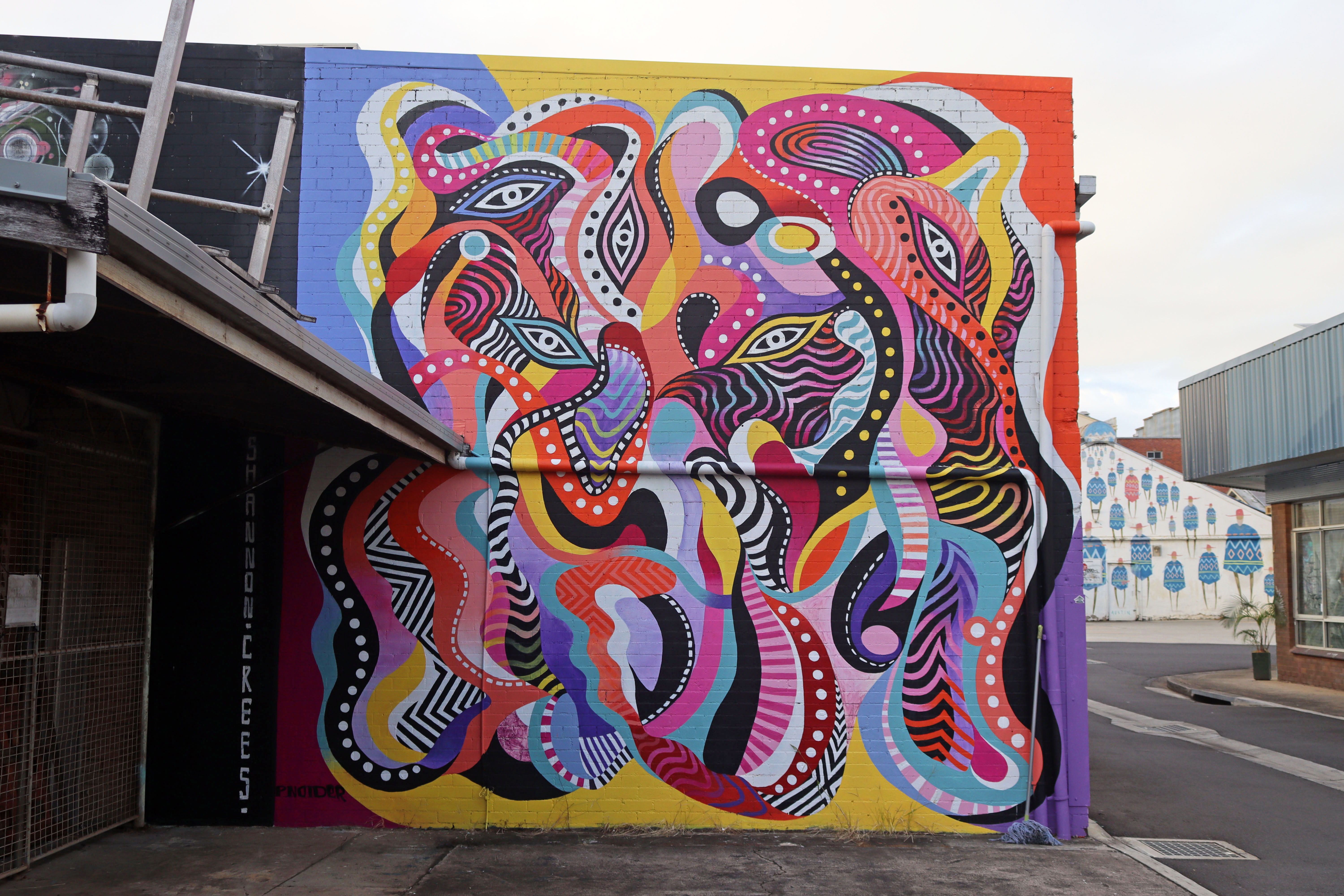 Untitled by Shannon Crees | Street Art NSW