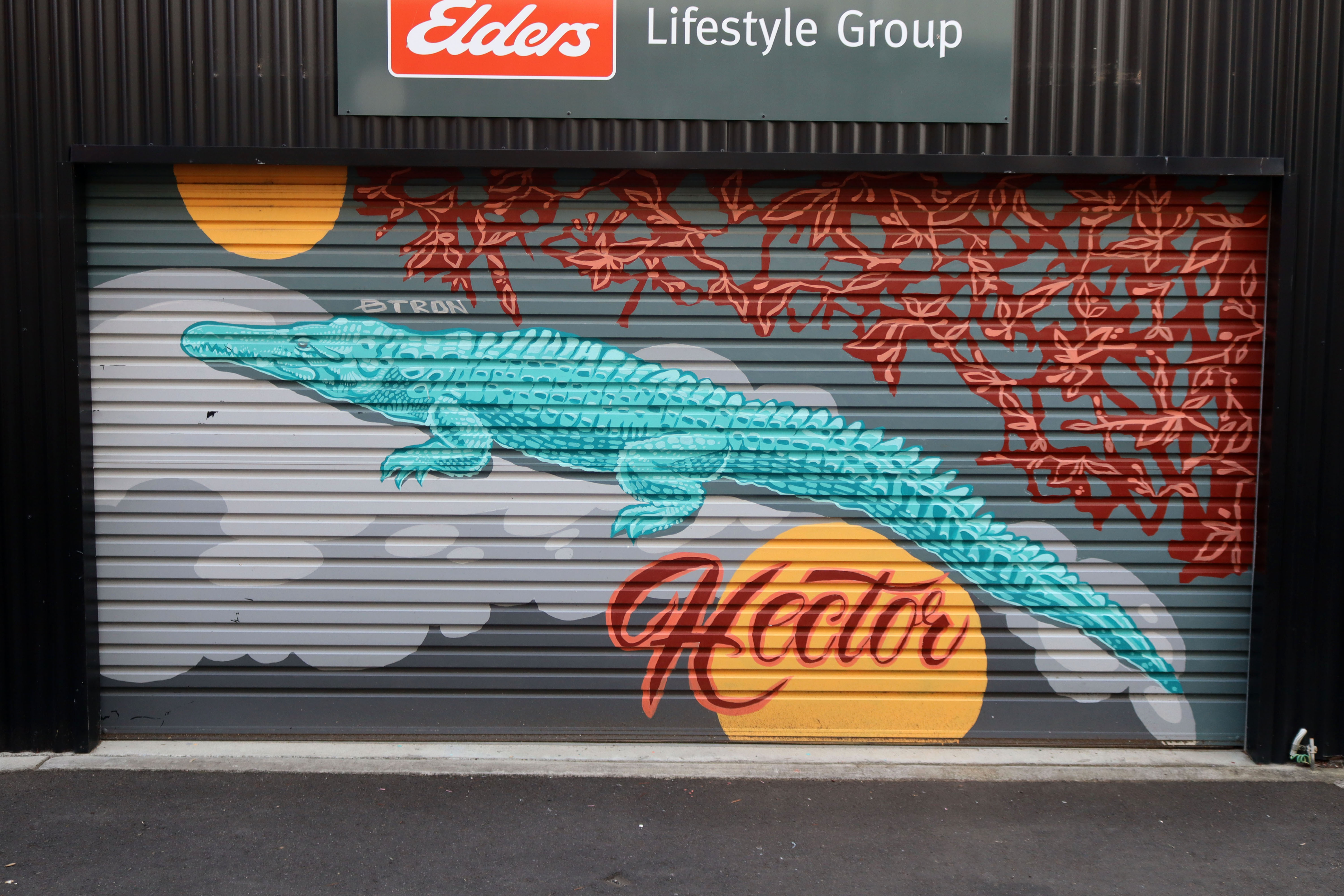 Hector by Beki Davies | Street Art NSW
