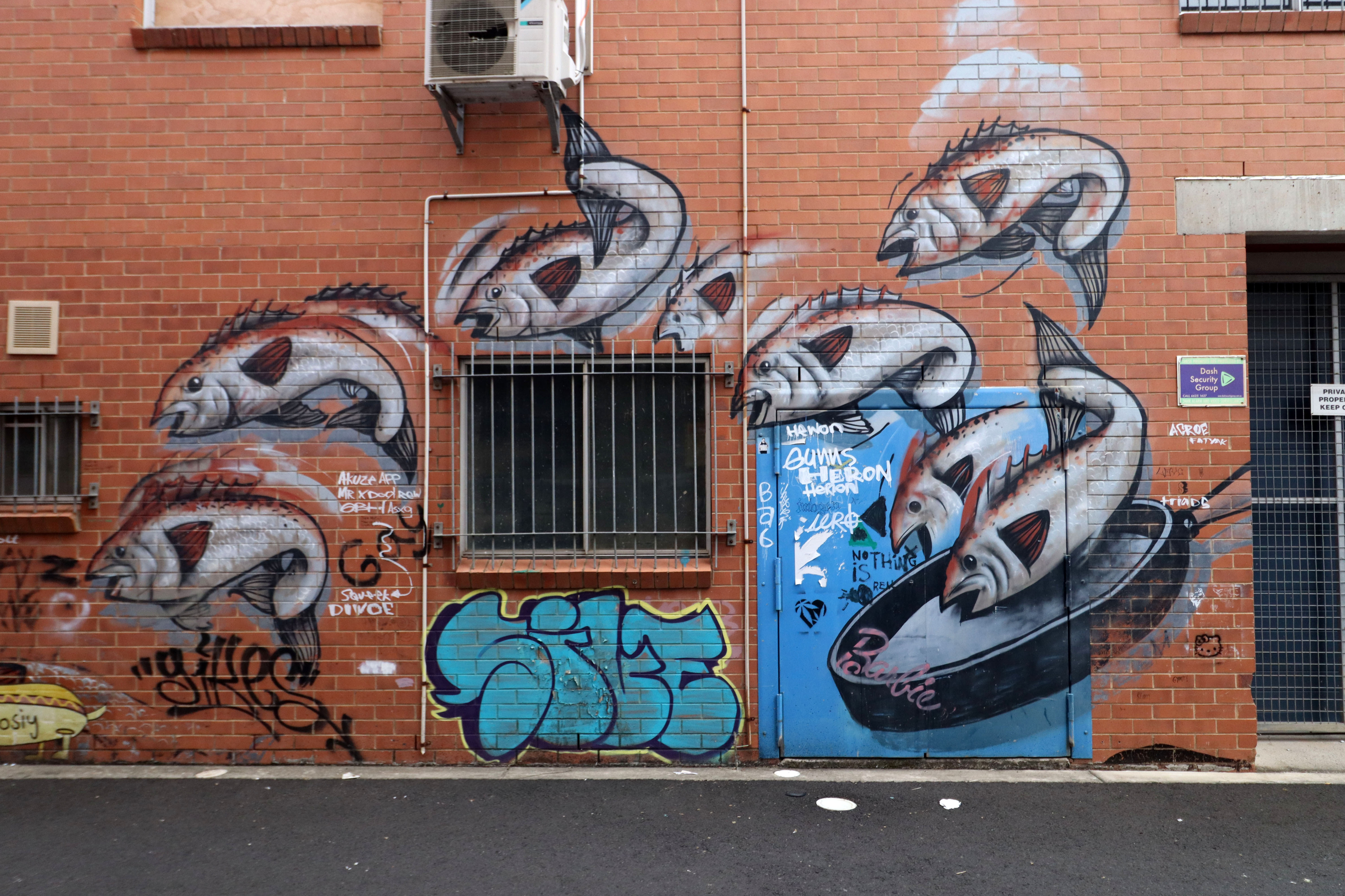 Untitled by Fintan Magee | Street Art NSW