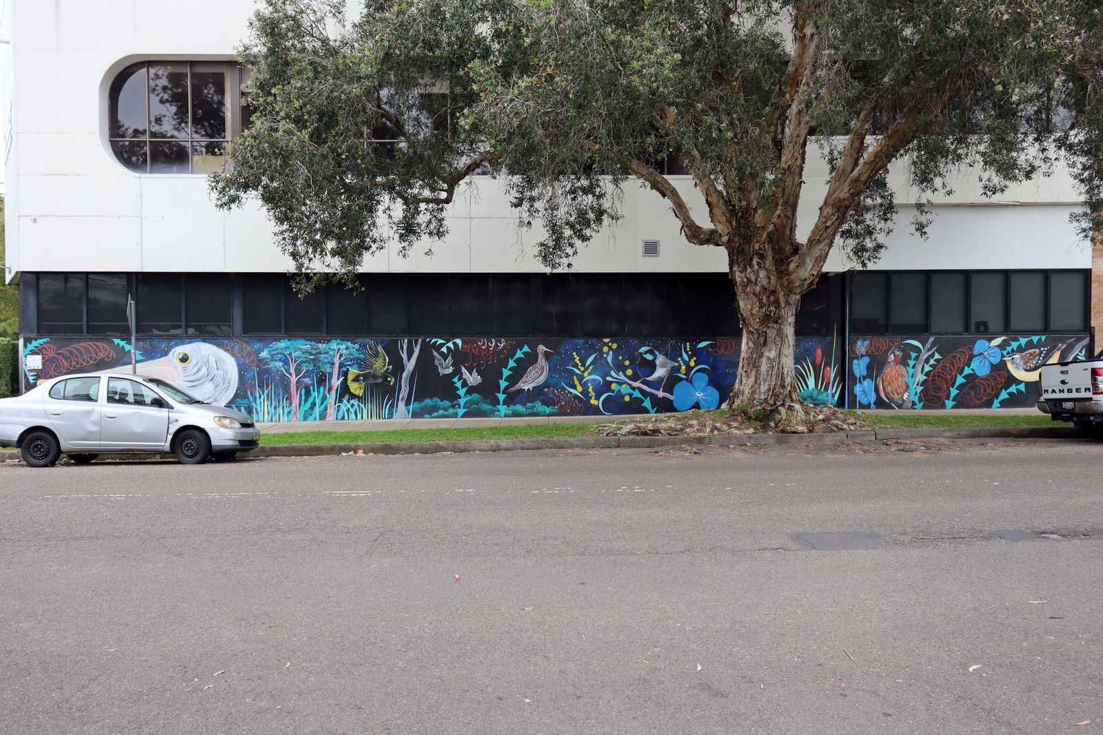 Goolay'yari (Waterways) by David Cragg | Street Art NSW