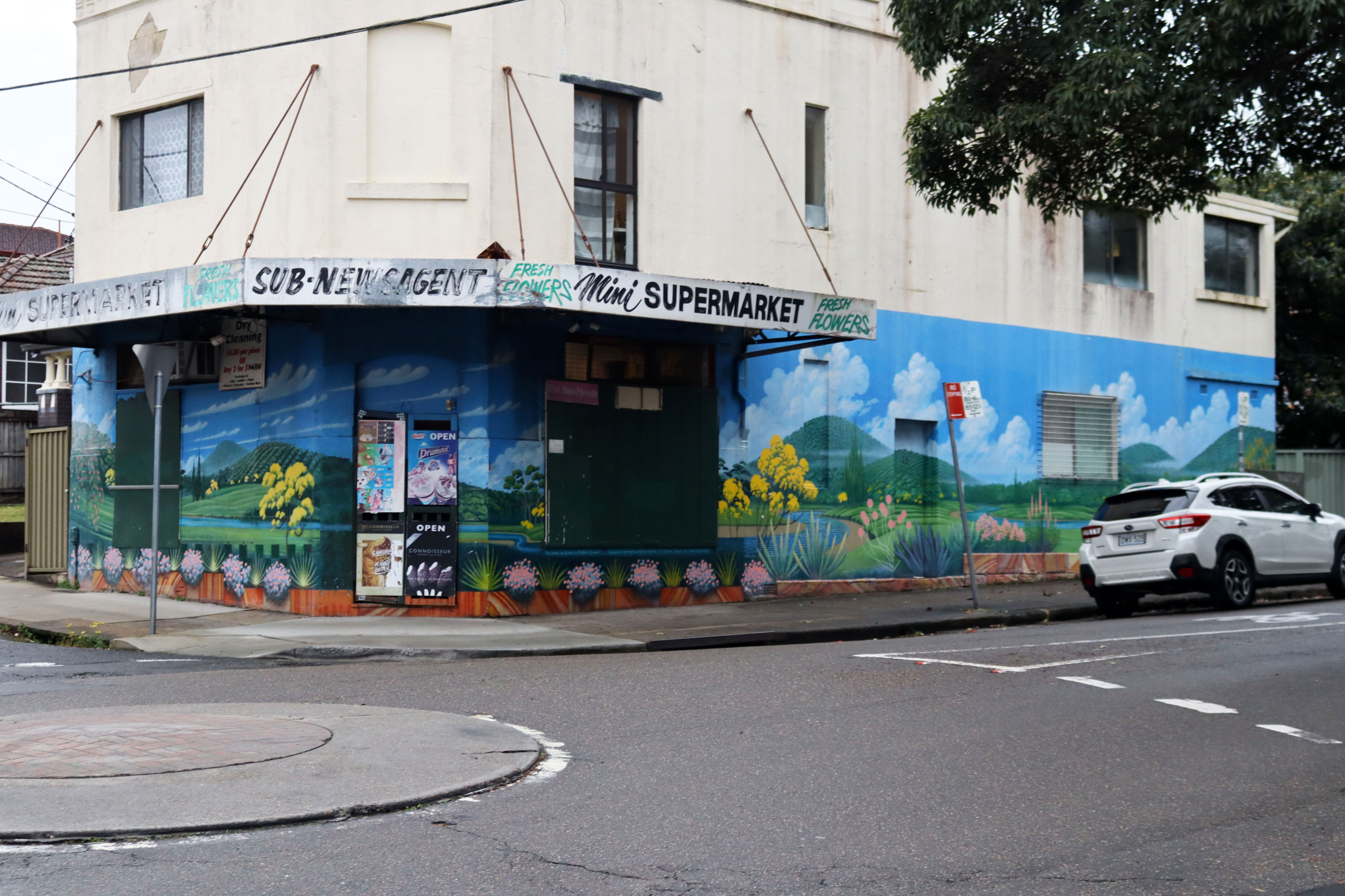Stylised Landscape by Robin Martin | Street Art NSW