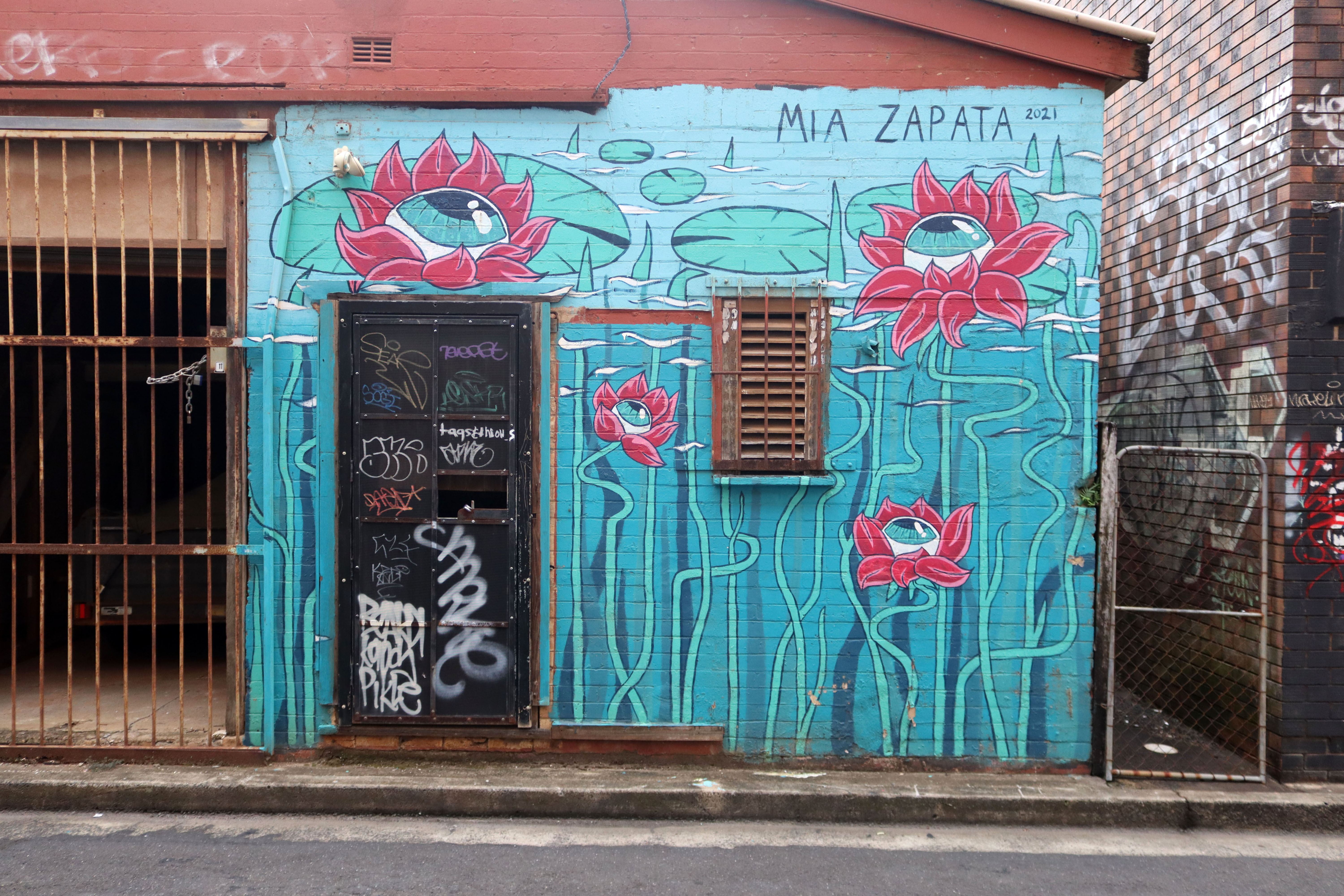 Untitled by Mia Zapata | Street Art NSW
