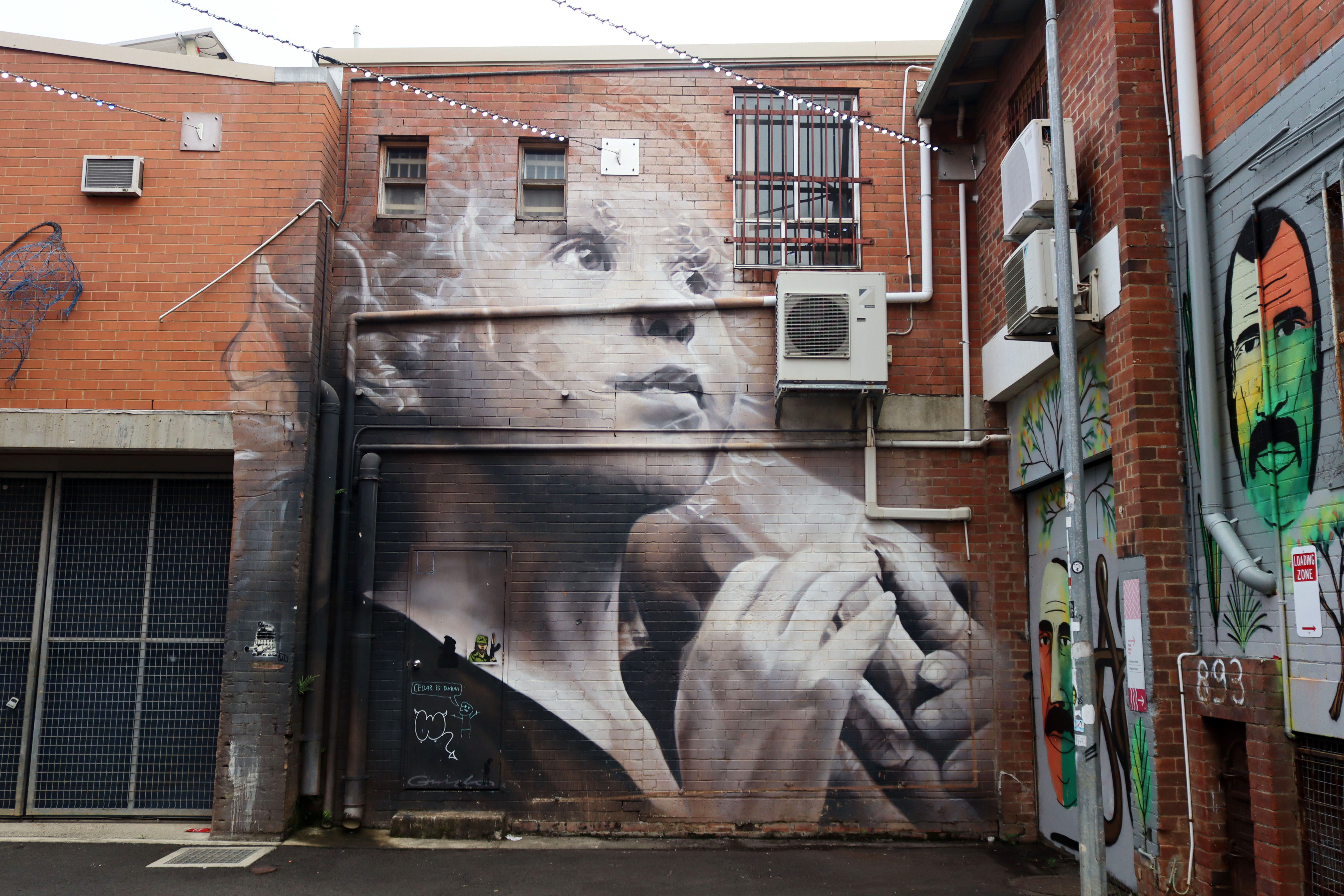 Willow by Guido van Helten | Street Art NSW