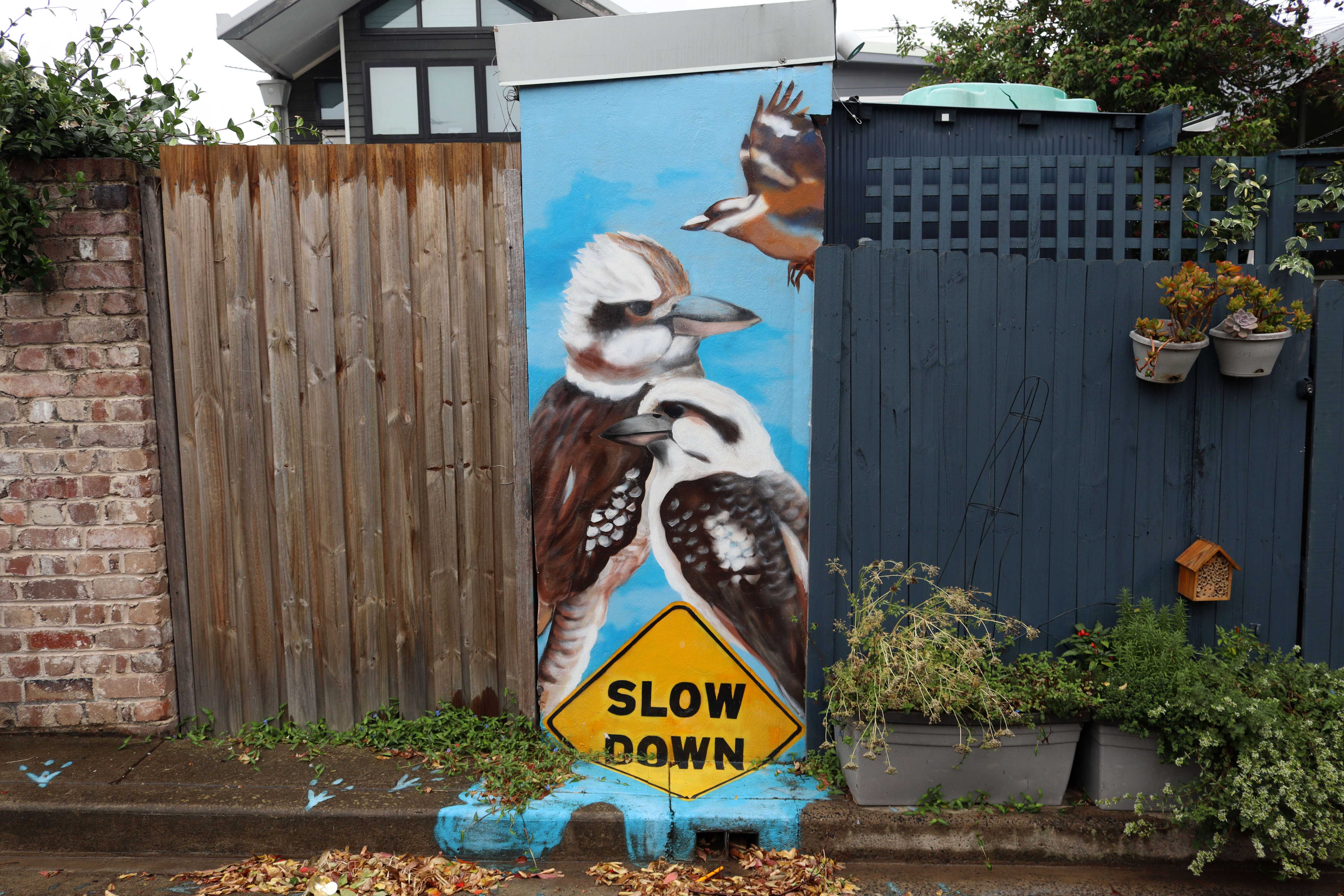 Feathered Kings by Karen Farmer | Street Art NSW