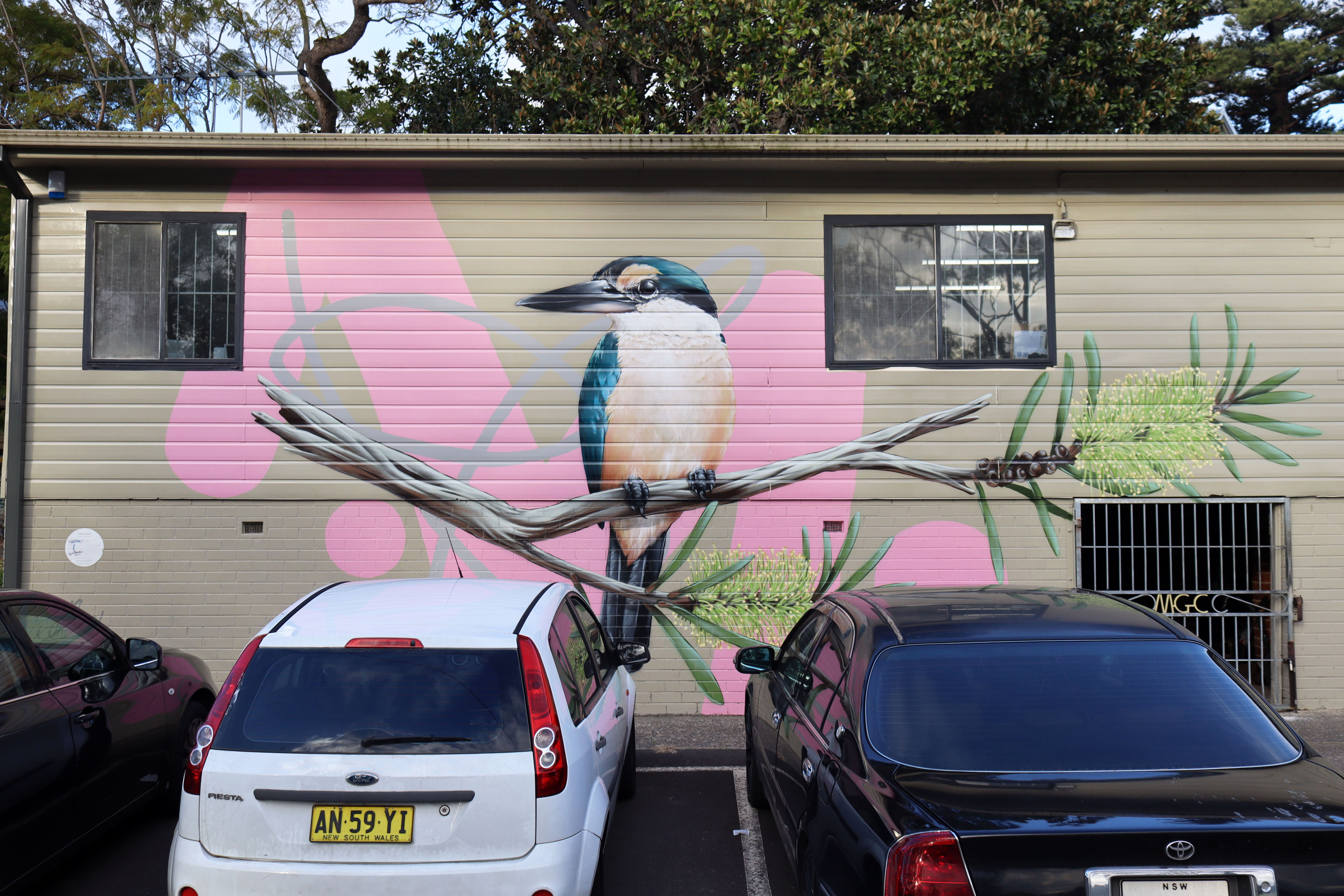 Kingfisher at Wave Rock by Thomas Jackson | Street Art NSW