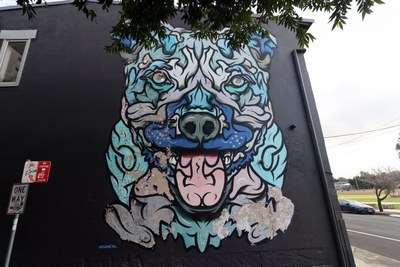 Staffy