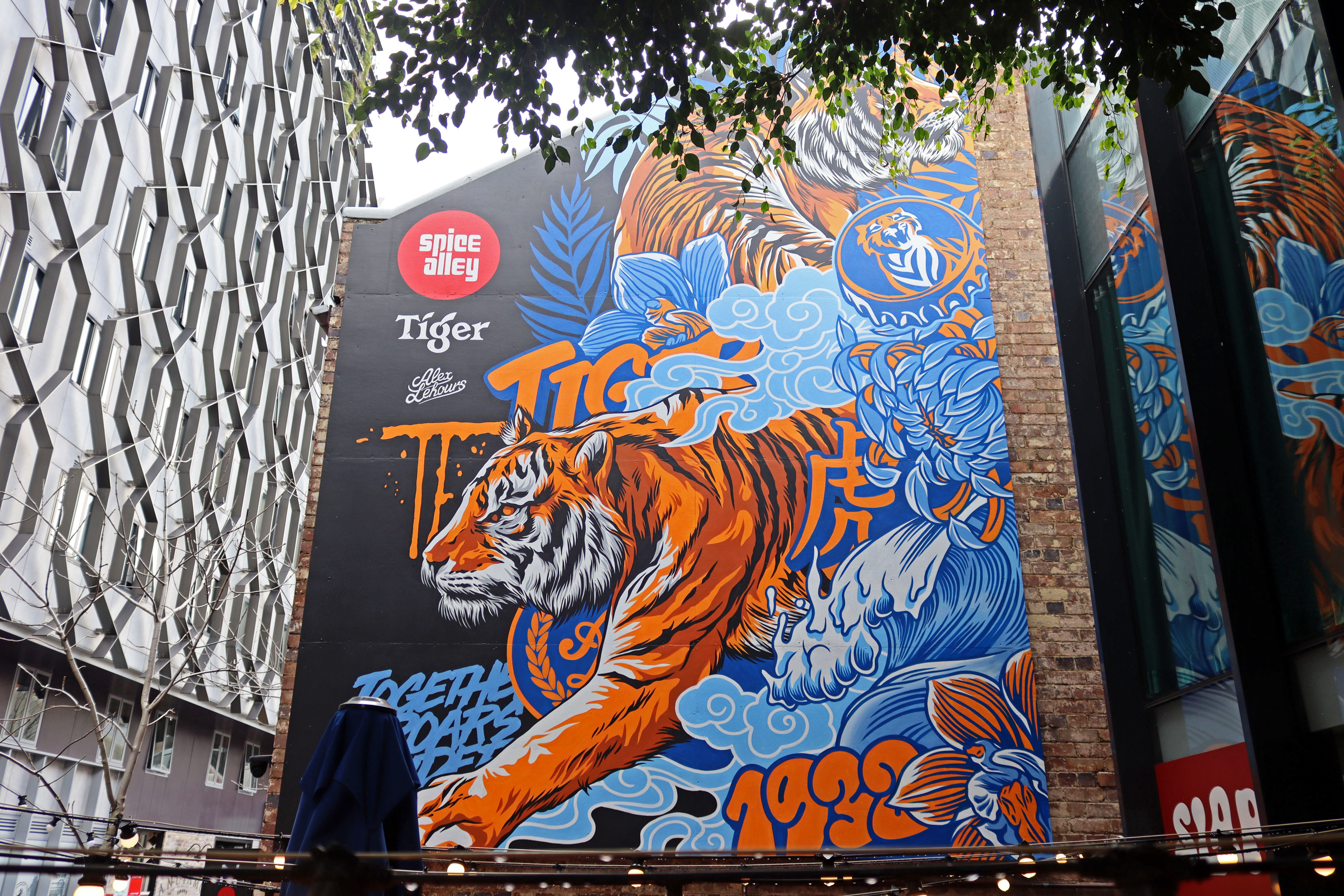 Tiger by Alex Lehours | Street Art NSW