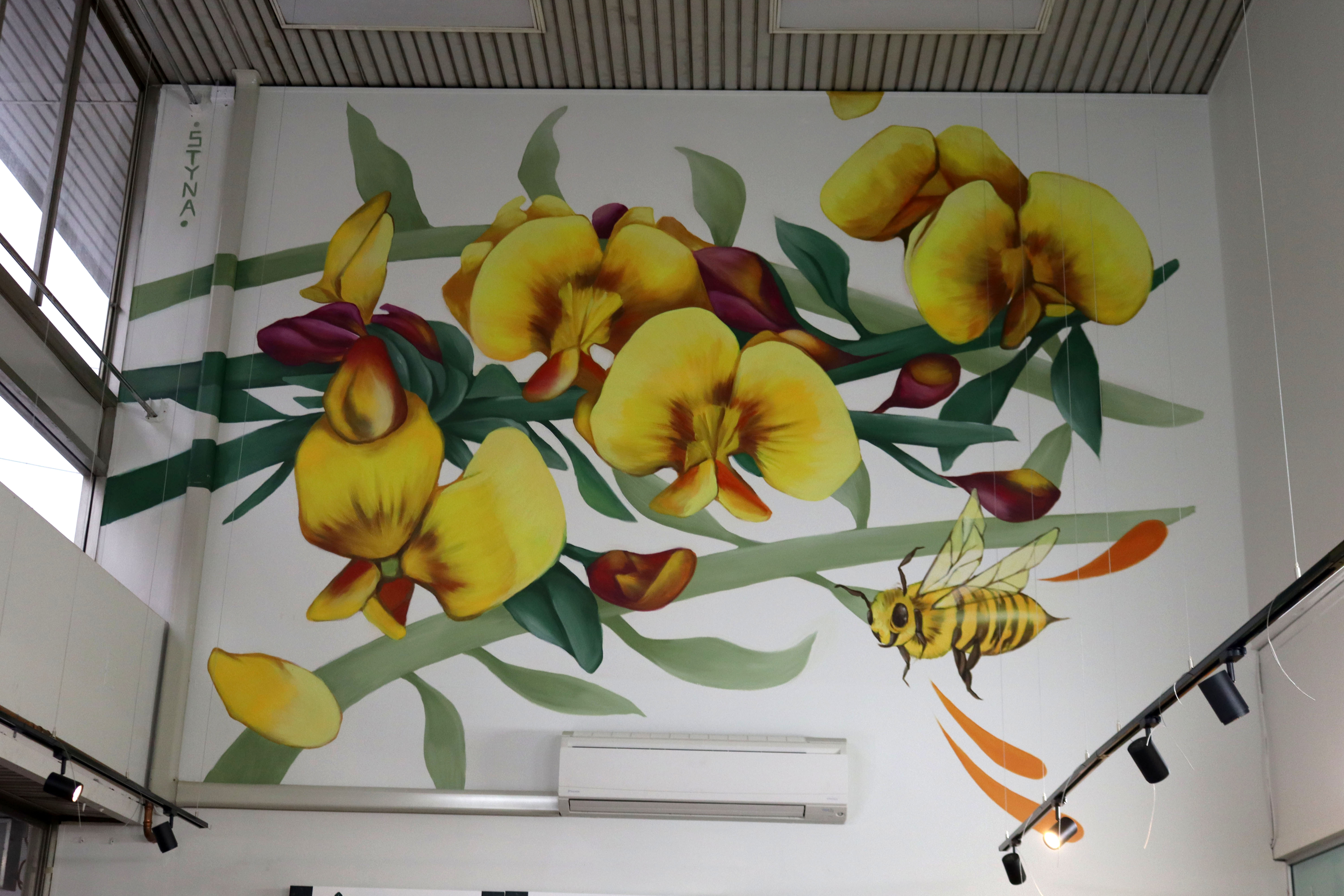 Bees and Peas by Stynabyna | Street Art NSW