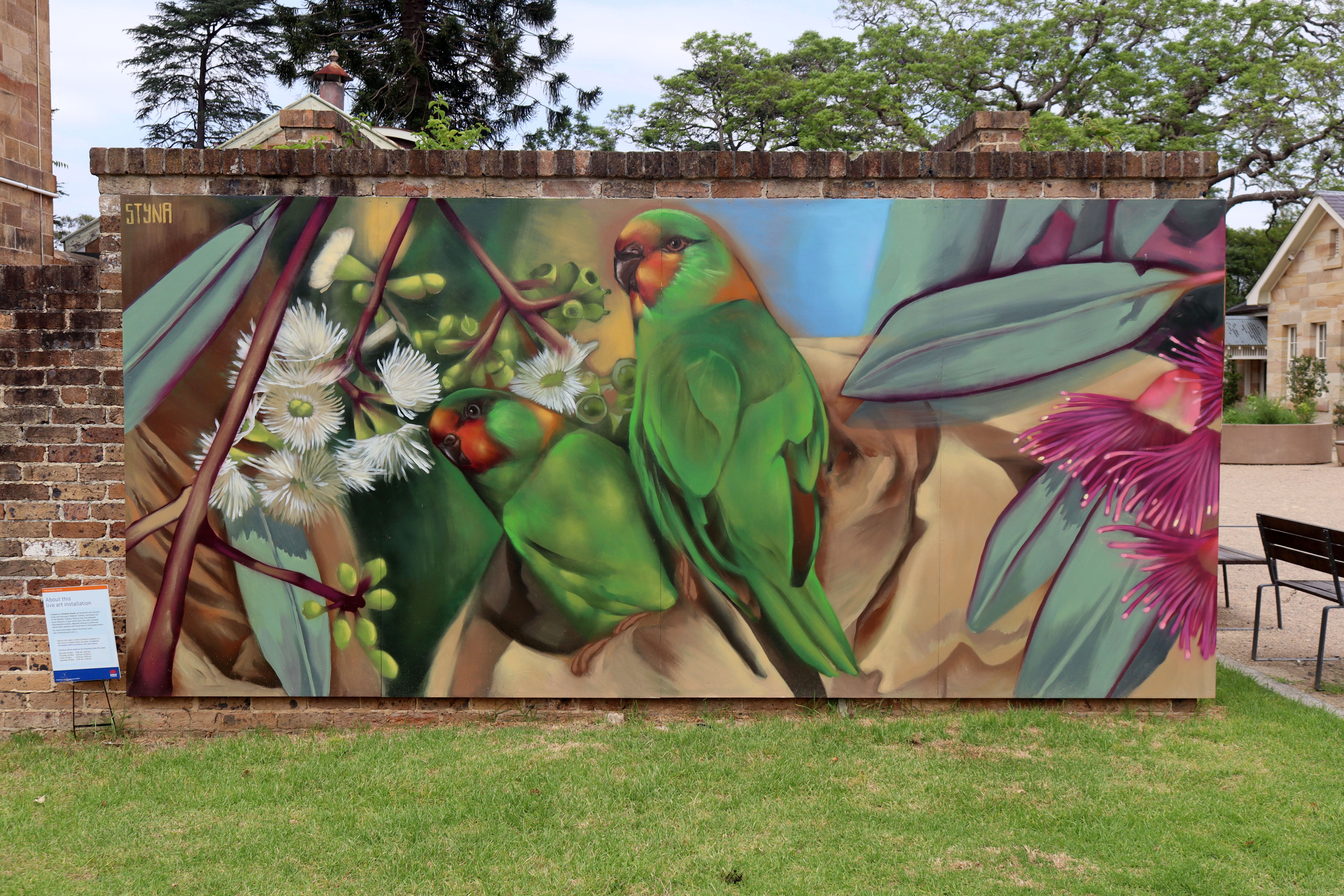 Untitled by Stynabyna | Street Art NSW