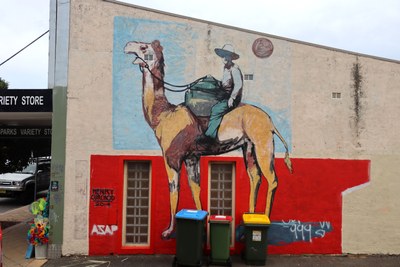Spencer Baldwin on Camel