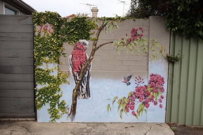 Edgar Lane Galah