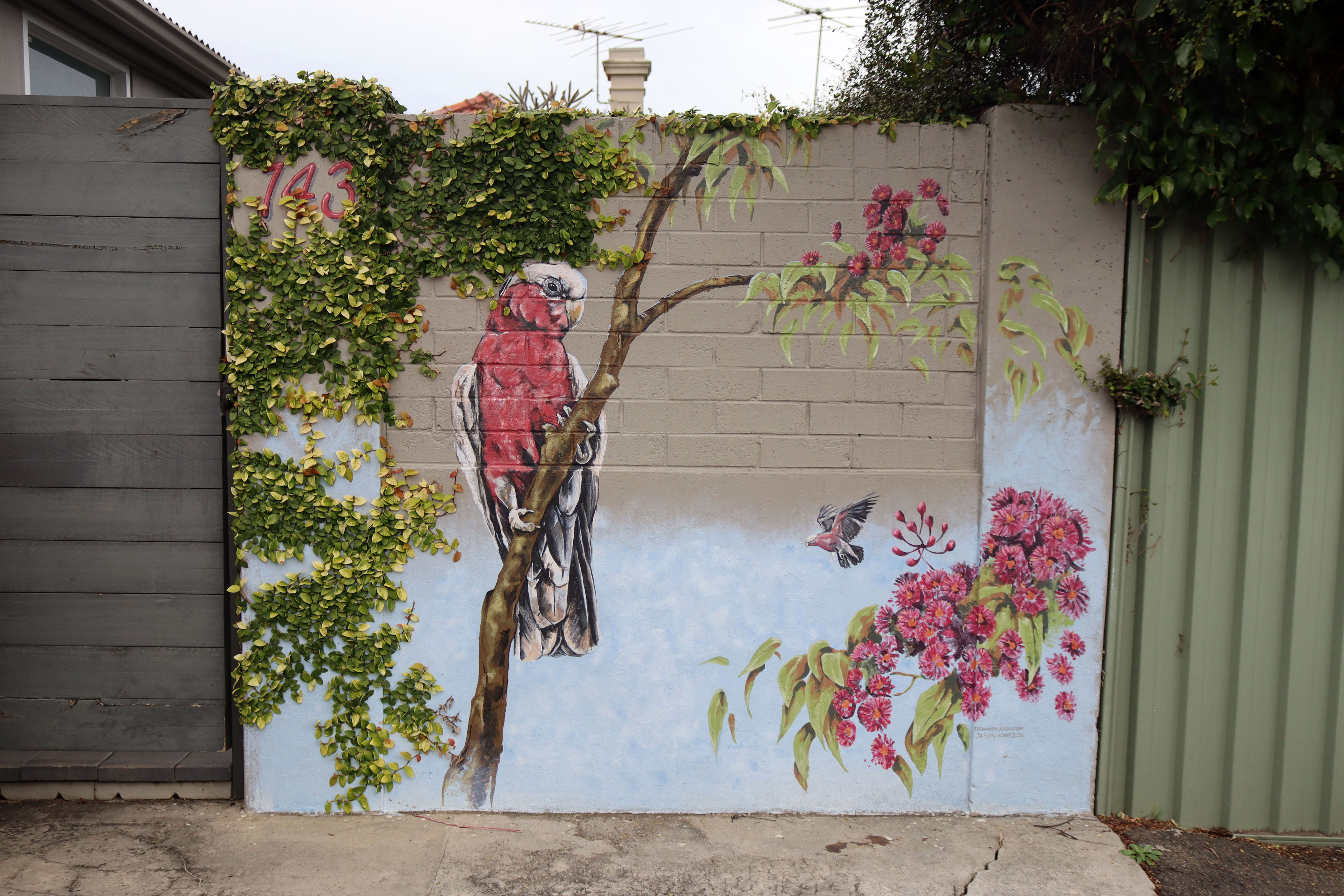 Edgar Lane Galah by Jason Howe | Street Art NSW