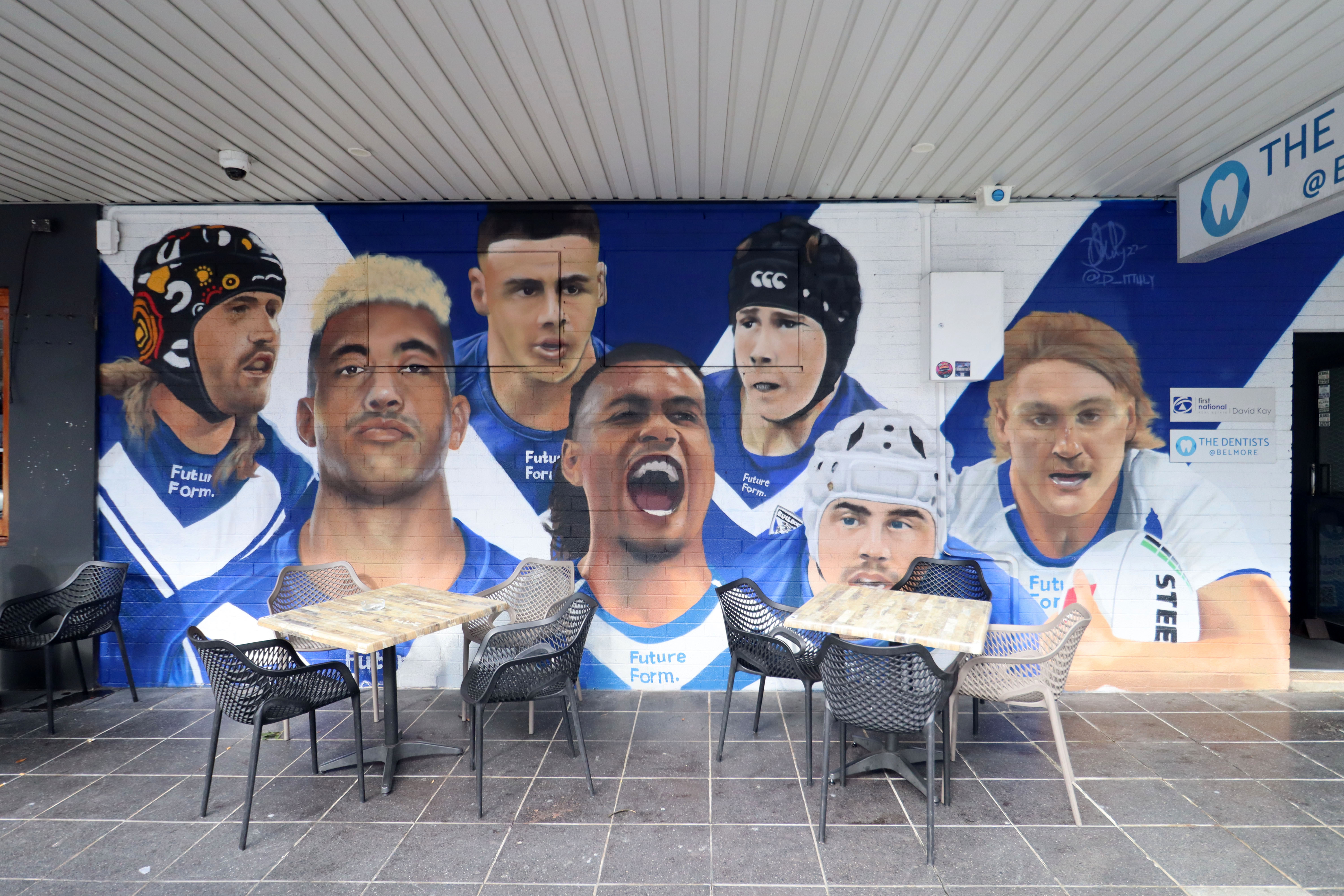 Canterbury-Bankstown Bulldogs by Danny Mulyono | Street Art NSW