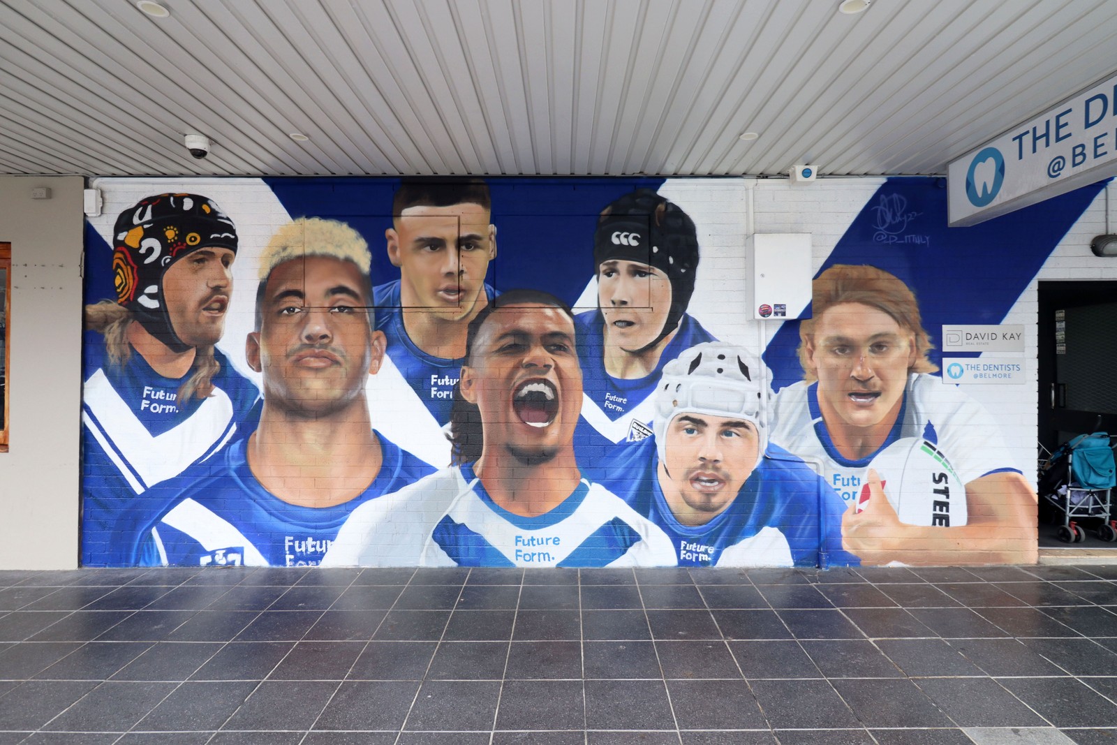 Canterbury-Bankstown Bulldogs by Danny Mulyono | Street Art NSW