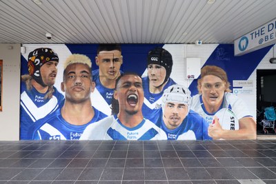 Canterbury-Bankstown Bulldogs
