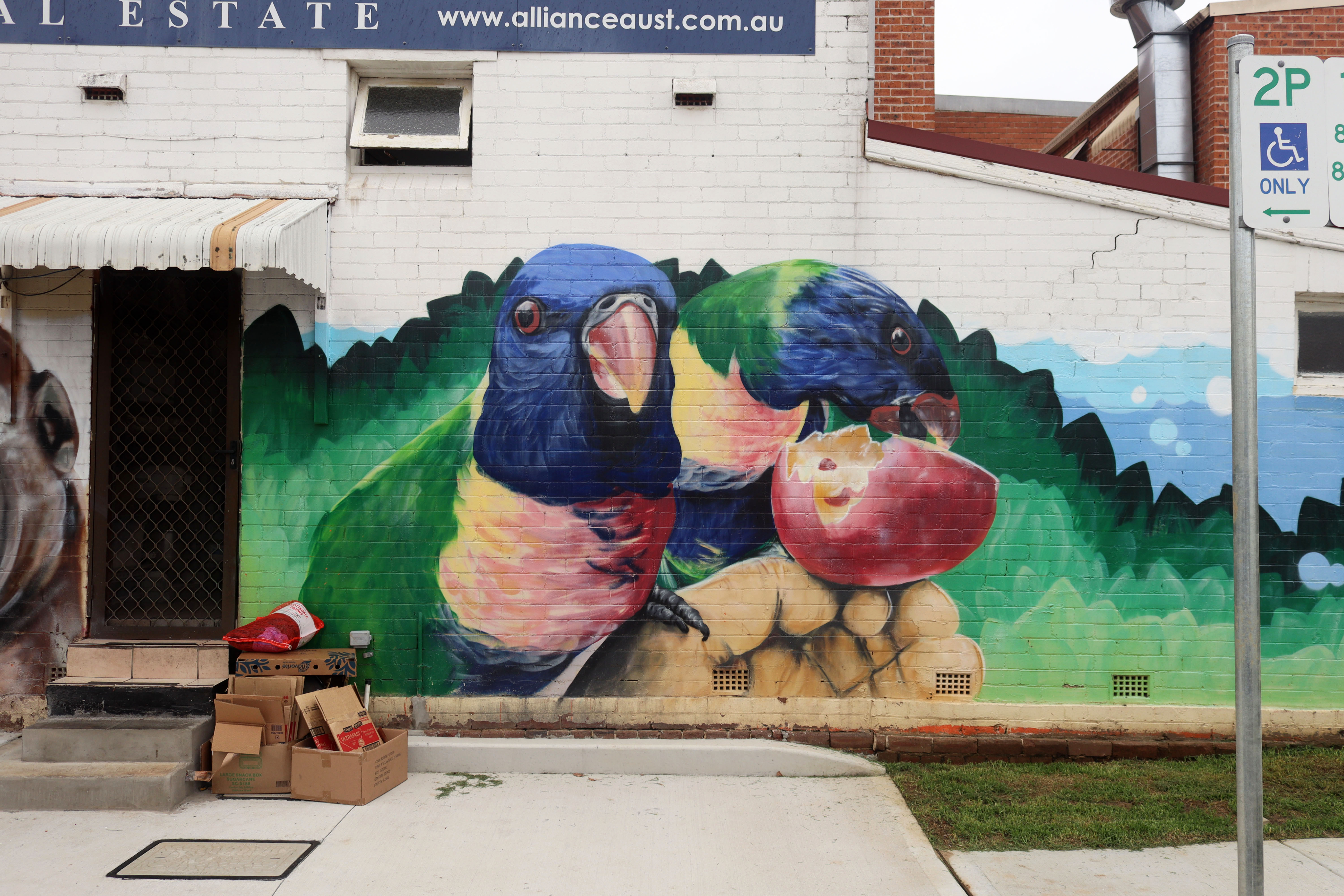 Lorikeets and Apple by Danny Mulyono | Street Art NSW