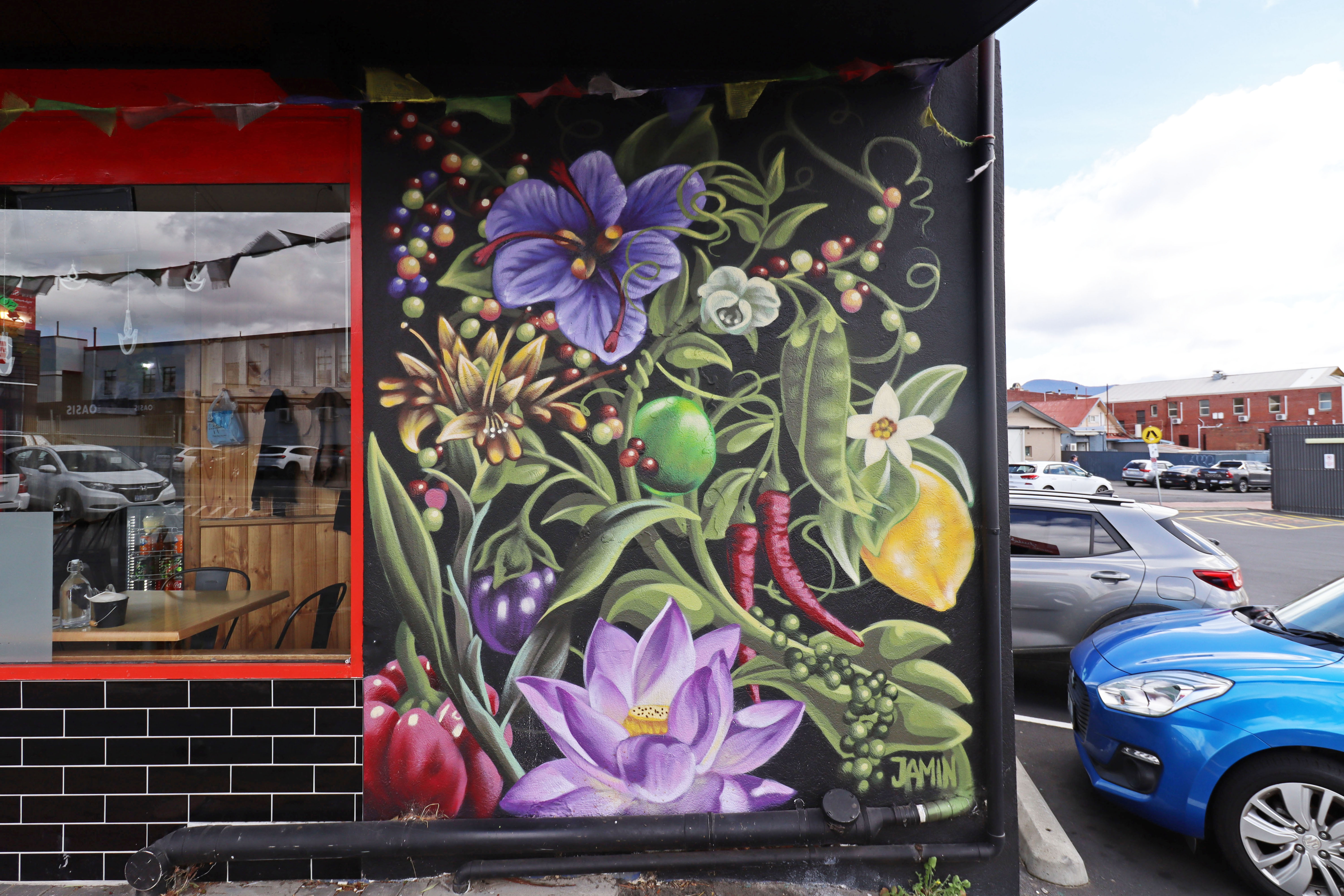 Untitled by Jamin | Street Art NSW