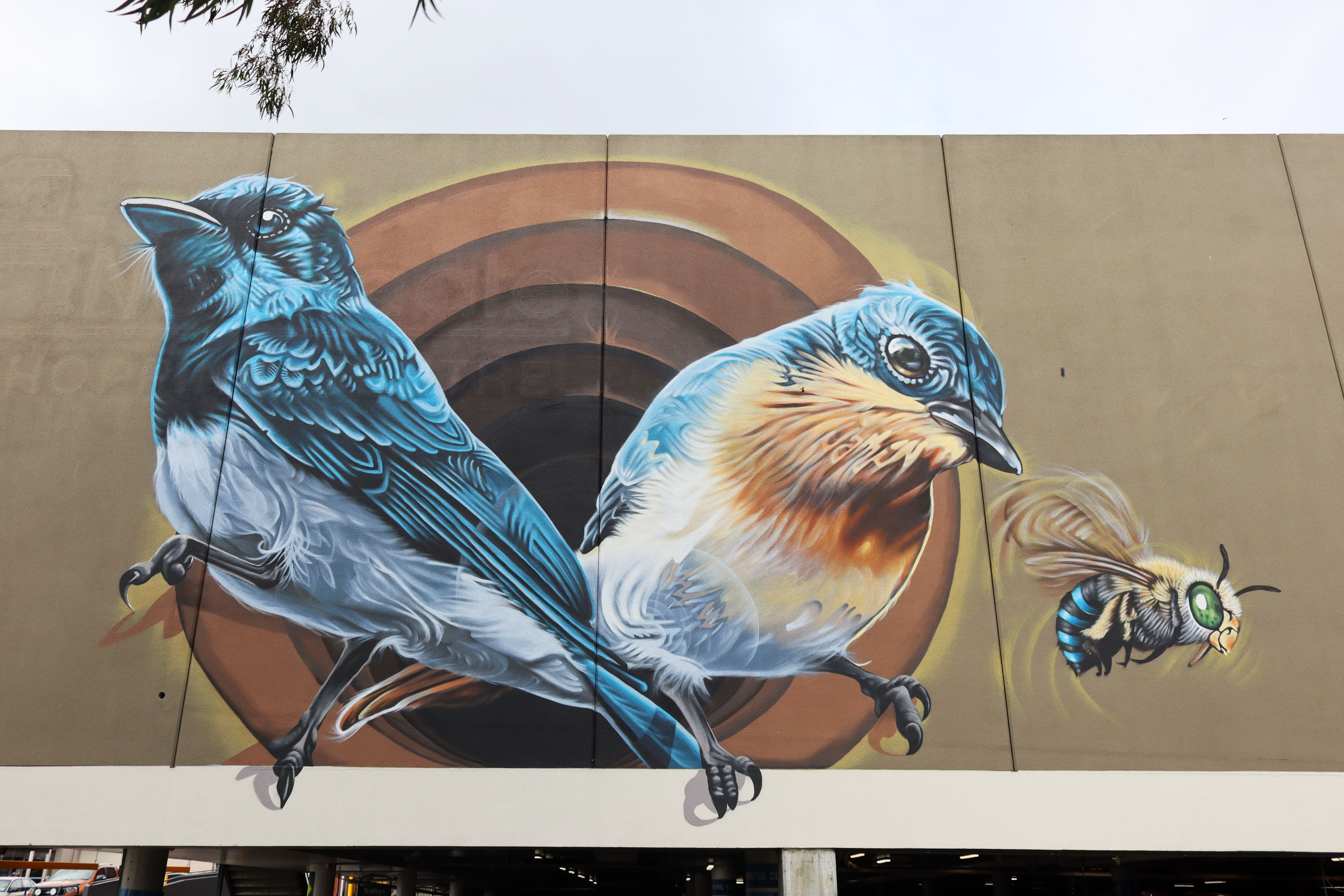 Untitled by Jamin | Street Art NSW
