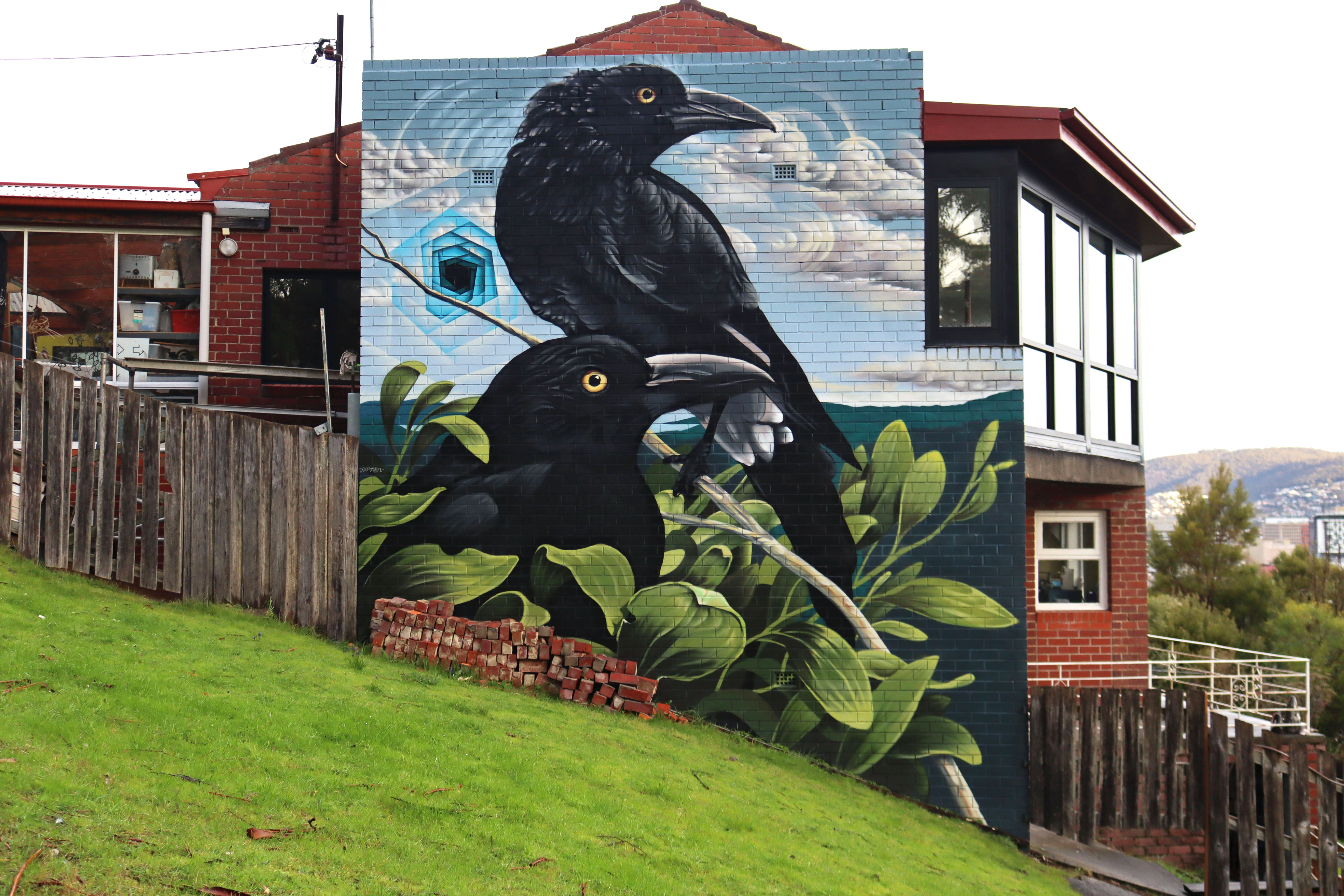 Currawongs Looking West