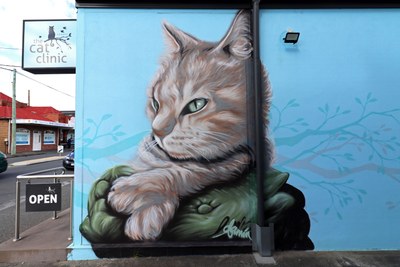 The Cat Clinic