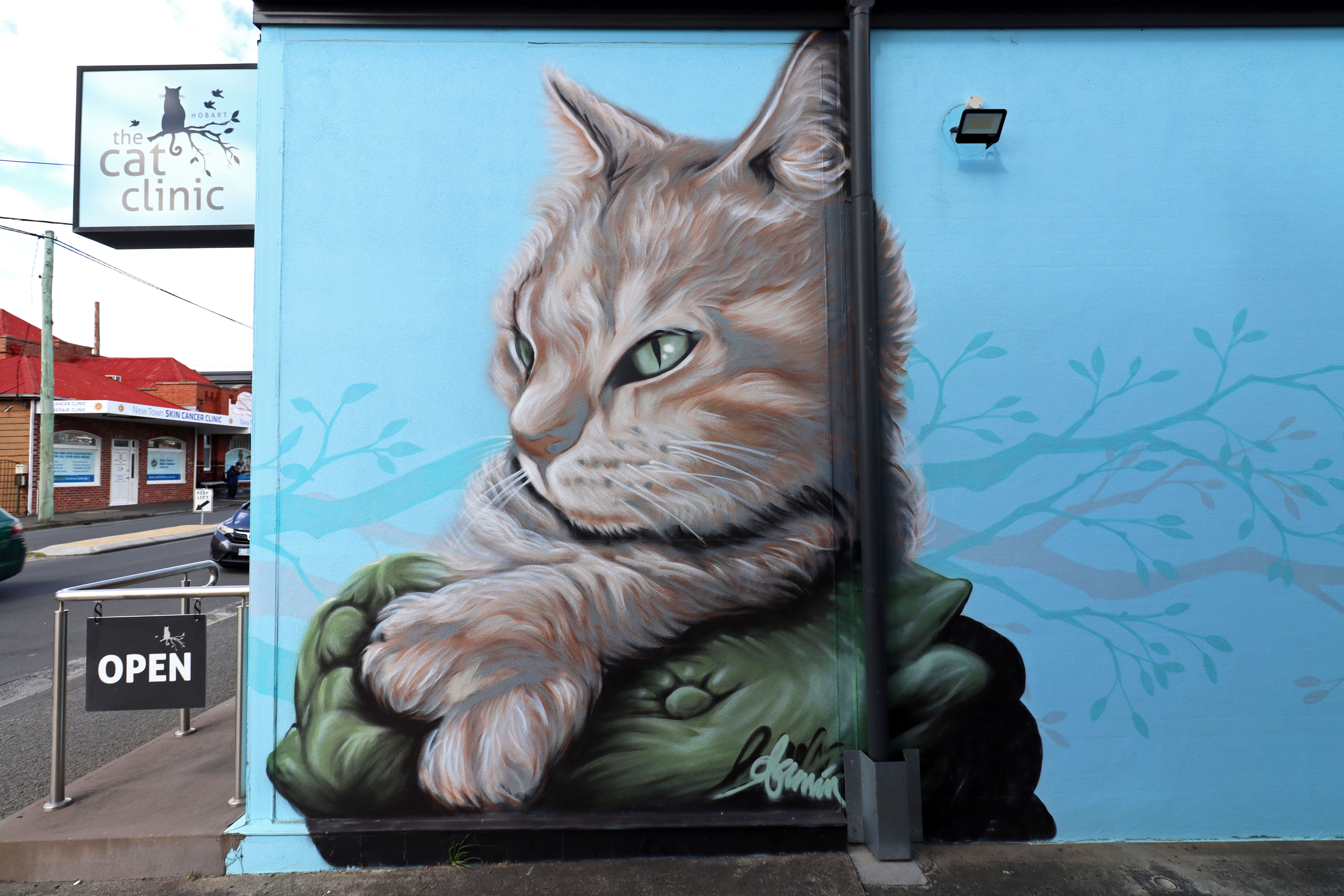 The Cat Clinic by Jamin | Street Art NSW