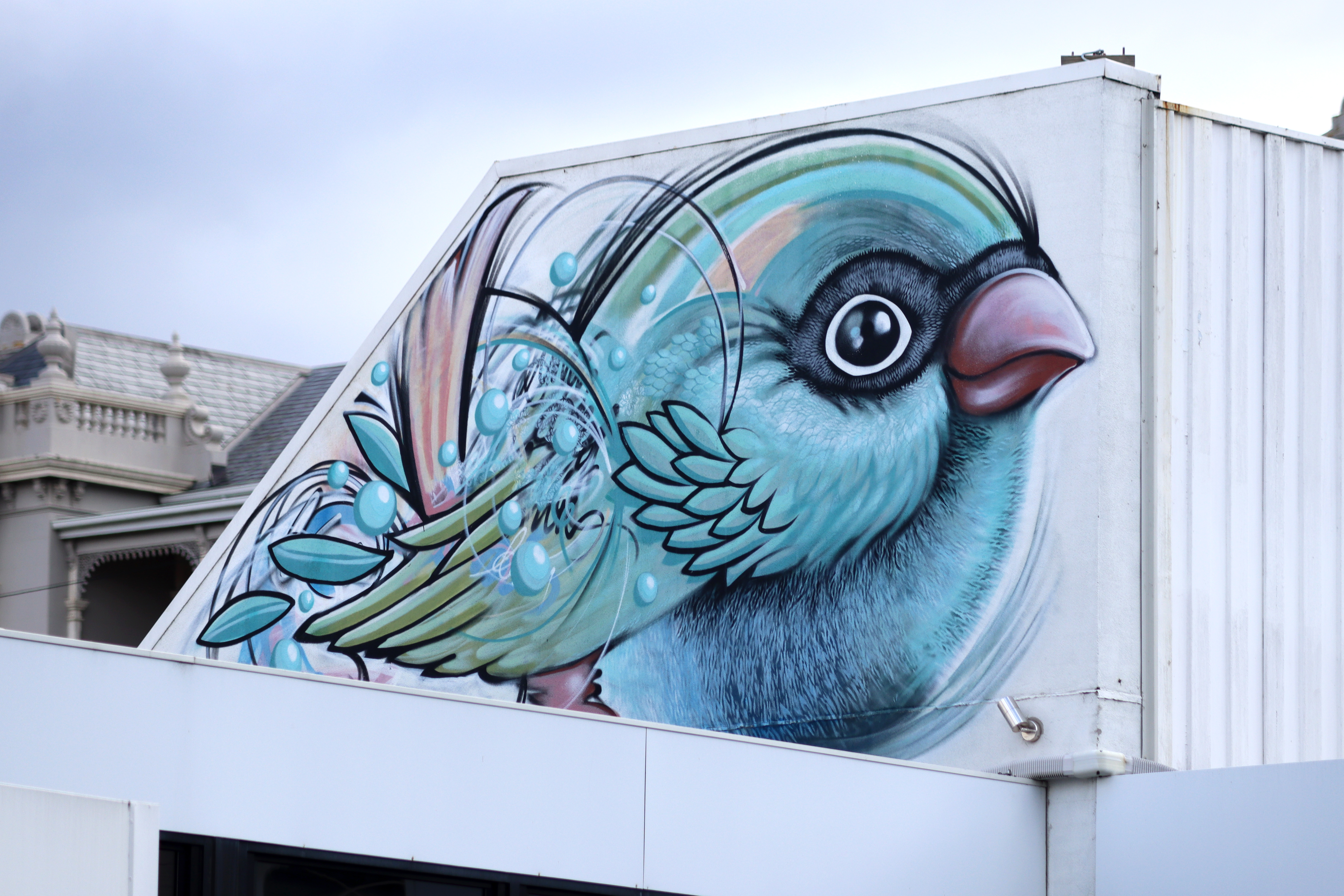 Untitled by Jamin | Street Art NSW